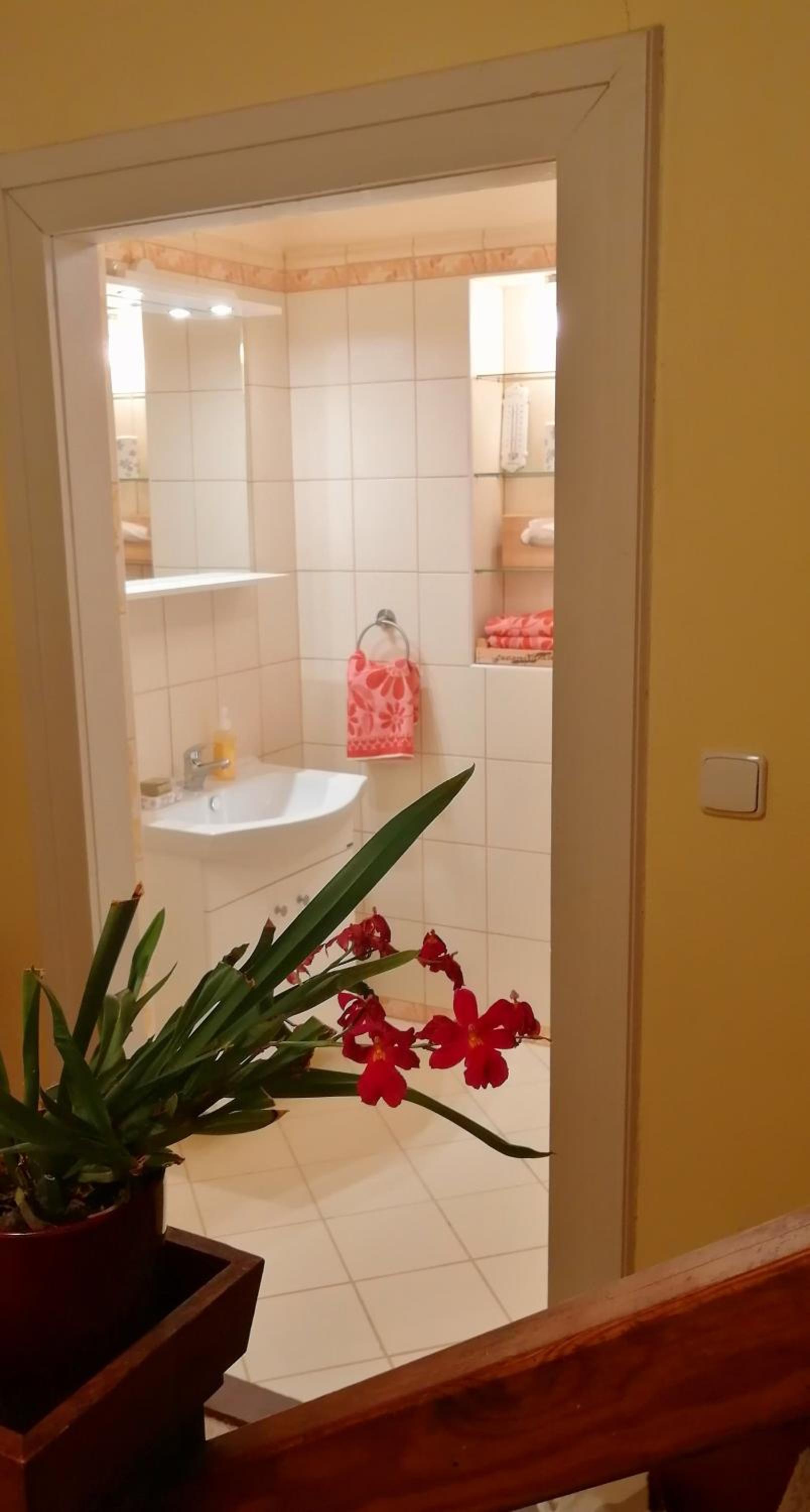 Dame vam pokoj - 4 pokoje se sdilenou kuchyni, kapacita max 9 osob