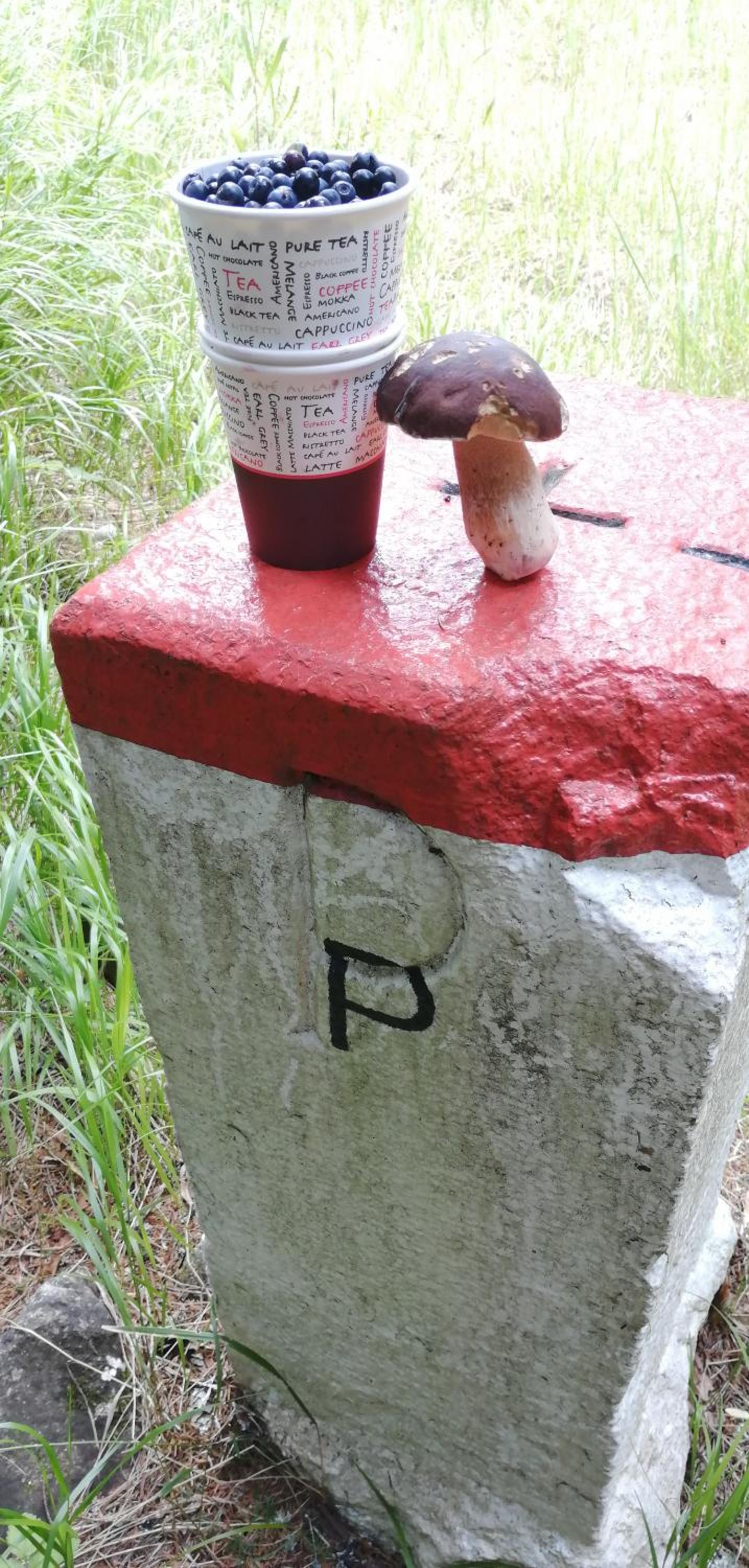 Dame vam pokoj - 4 pokoje se sdilenou kuchyni, kapacita max 9 osob