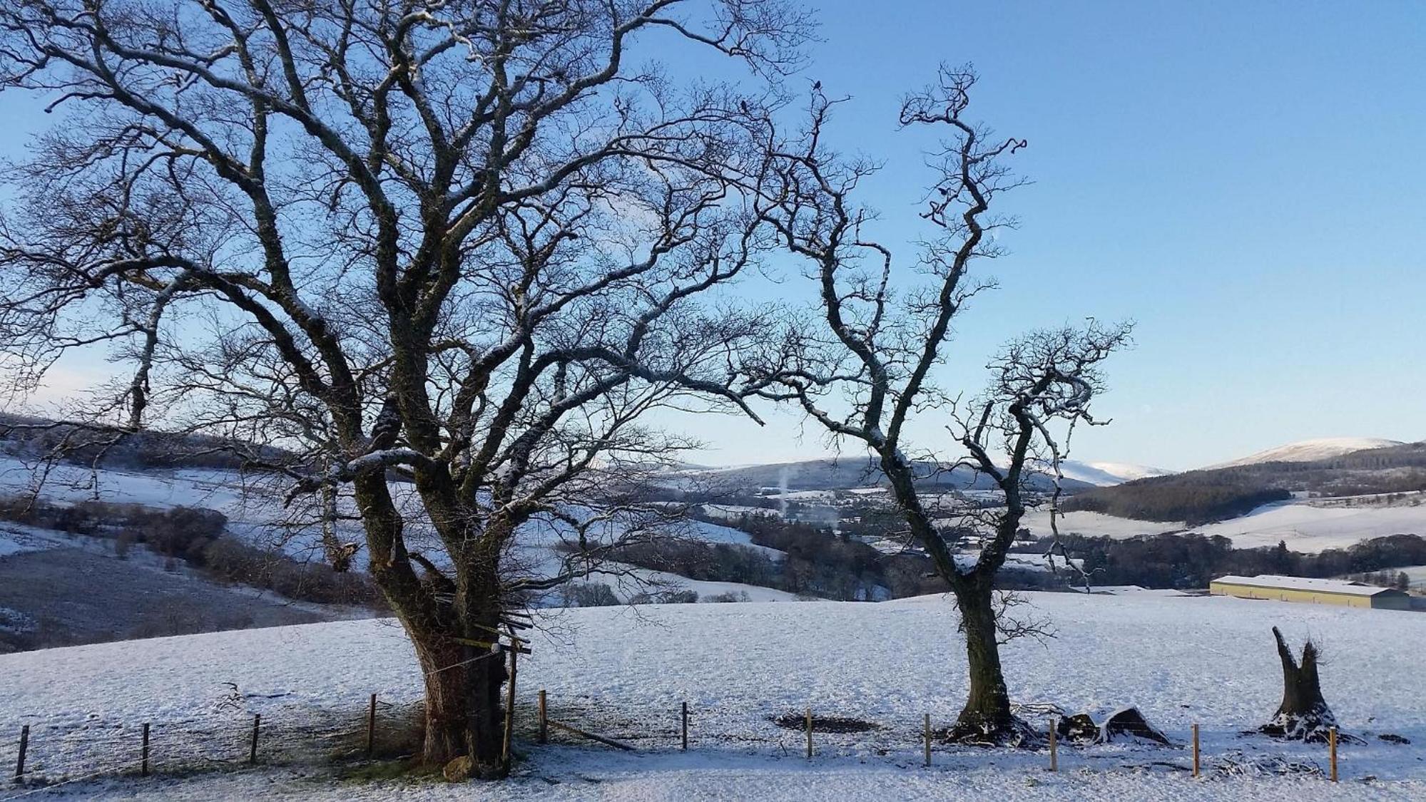 Broomhead Cottages