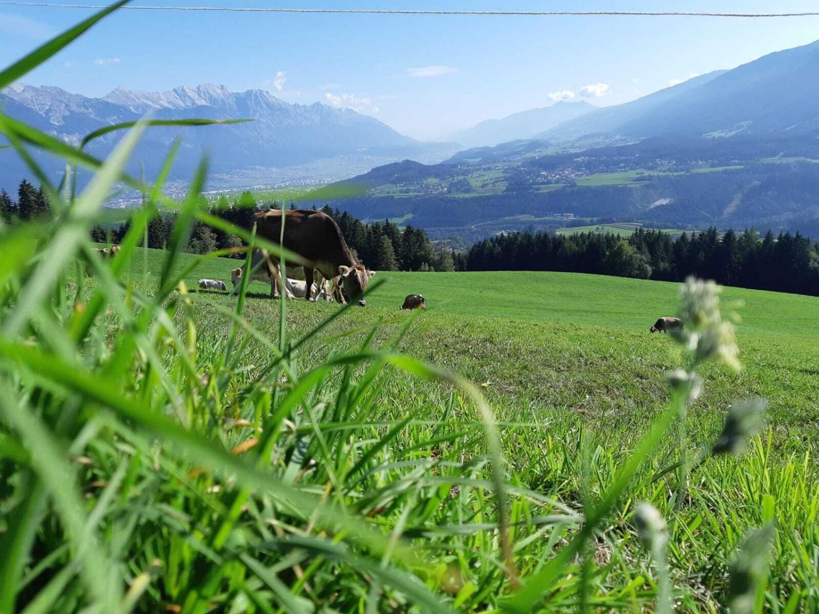 Nockhof