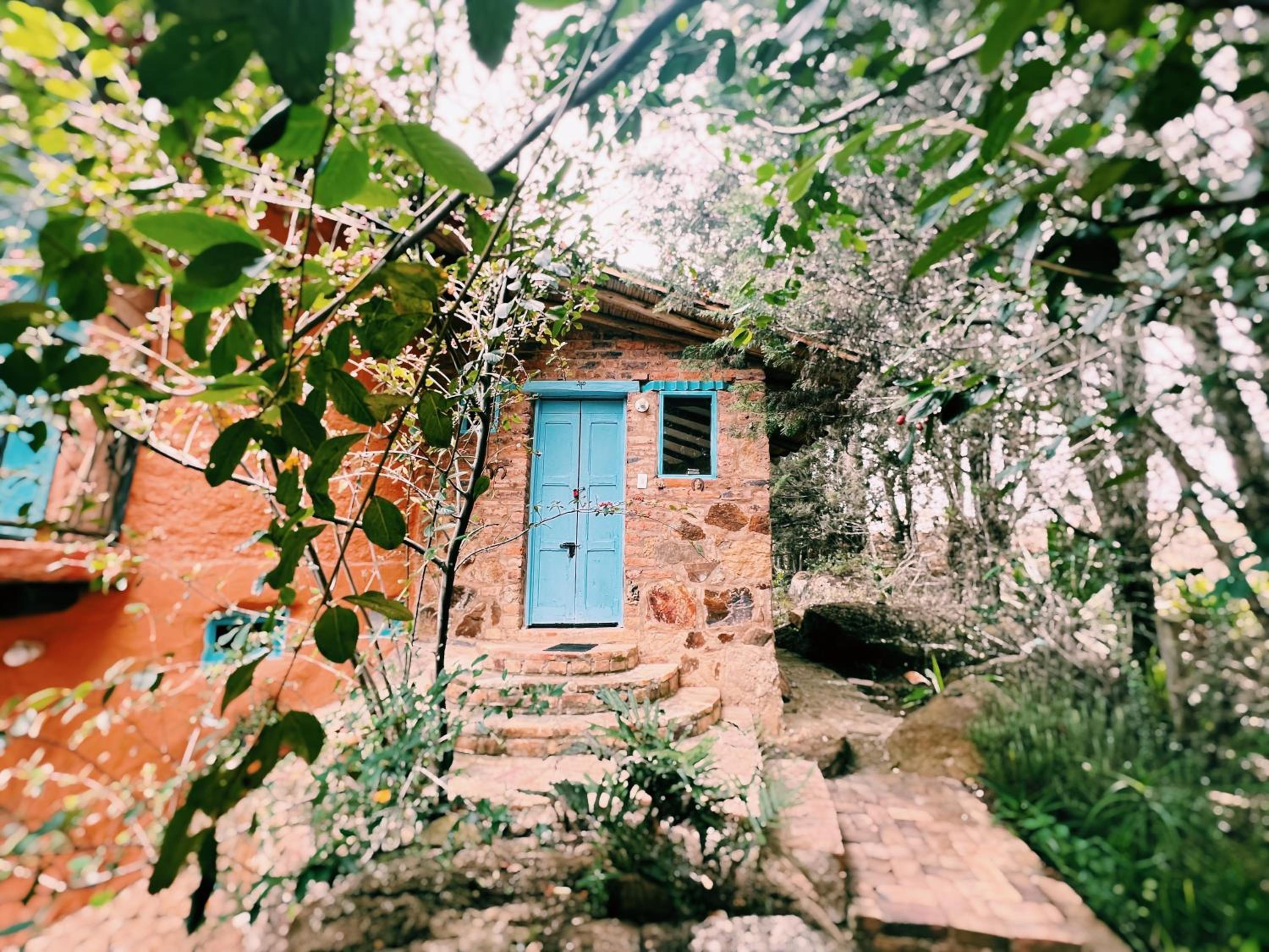 El Hayuelo Ecolodge