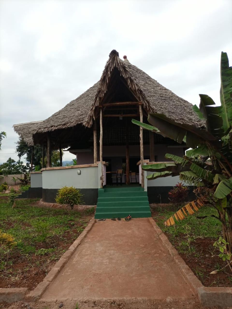 Photo 29