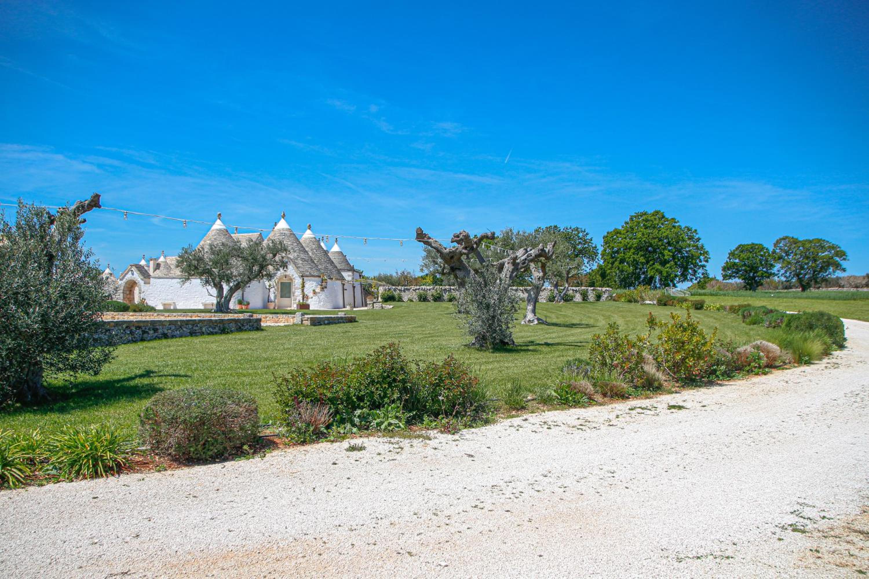 AGROSILENTE