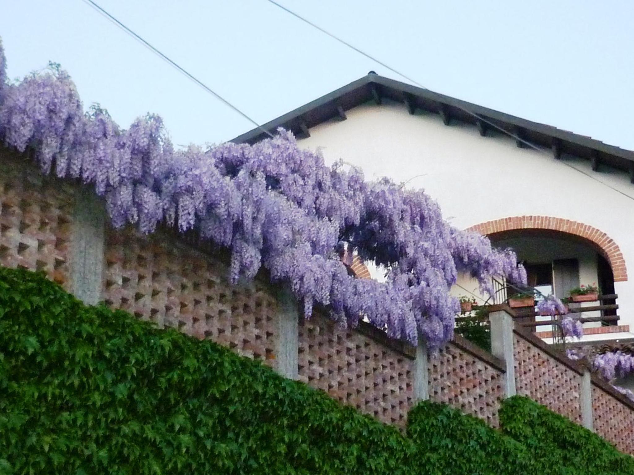 Photo 43