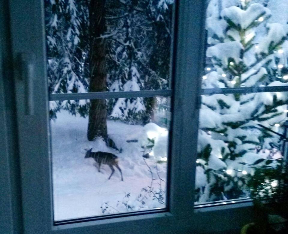 Dame vam pokoj - 4 pokoje se sdilenou kuchyni, kapacita max 9 osob