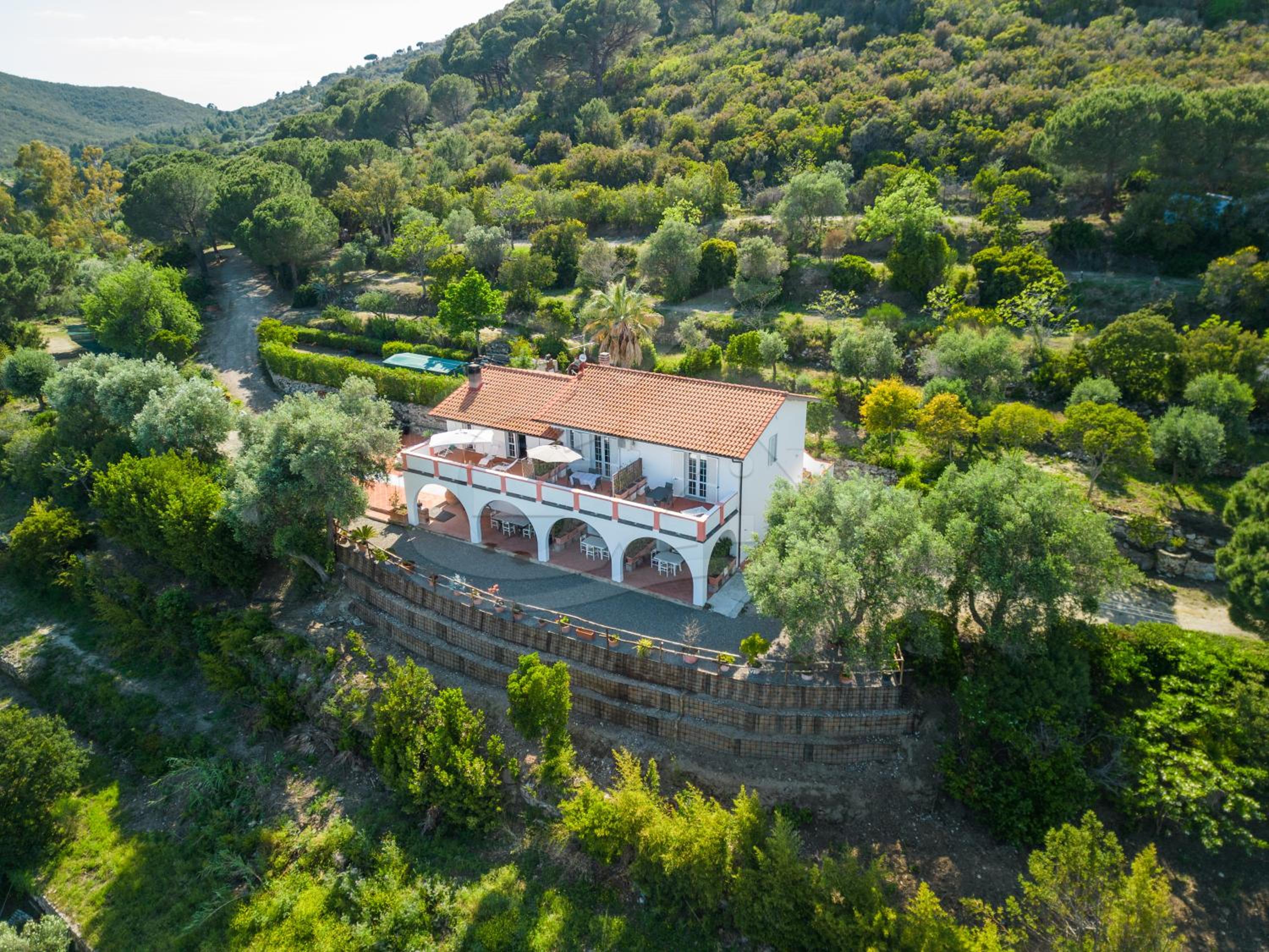La Palazzina nel Verde - Goelba photo 3