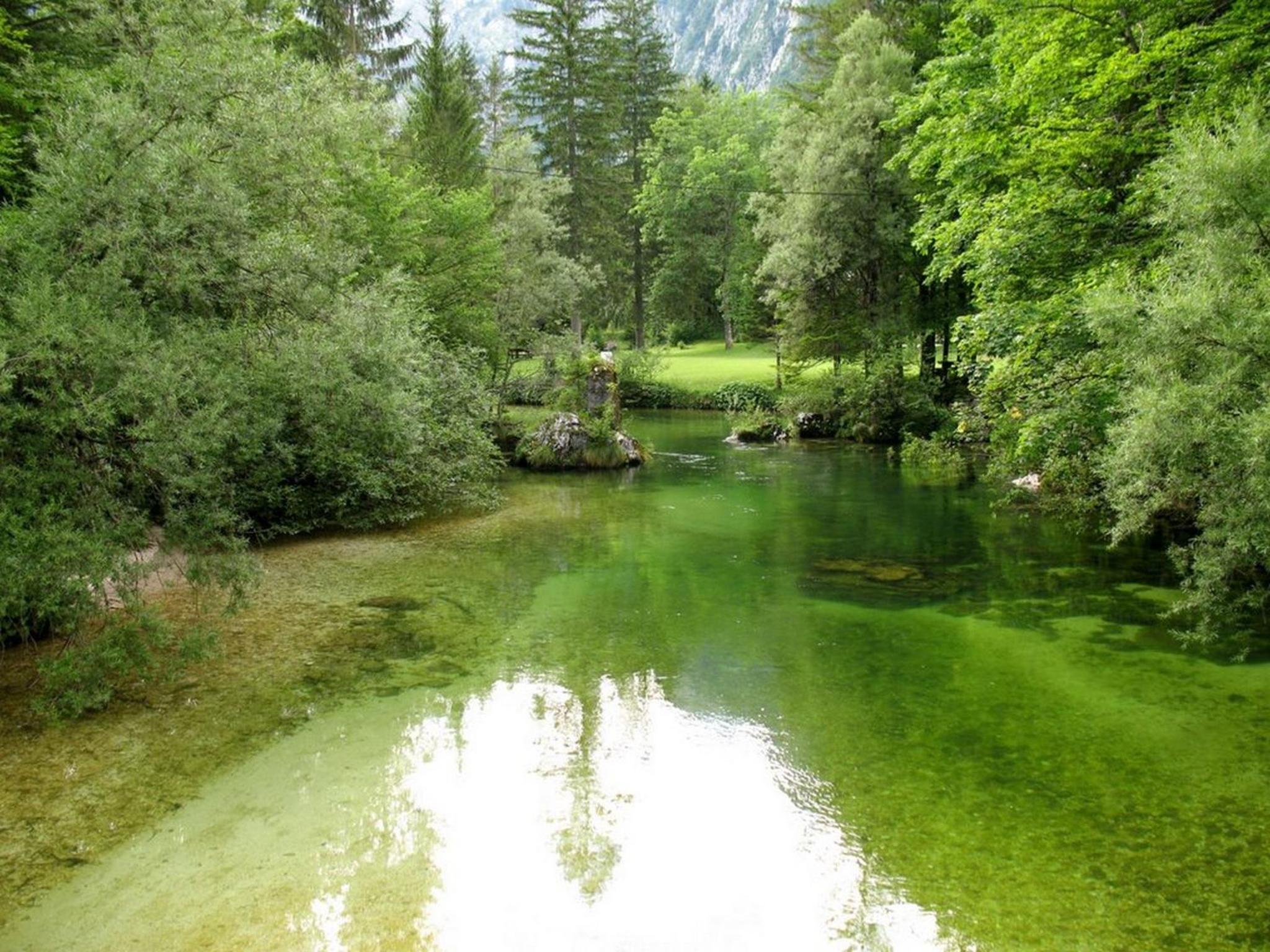 Apartments Lake Bohinj