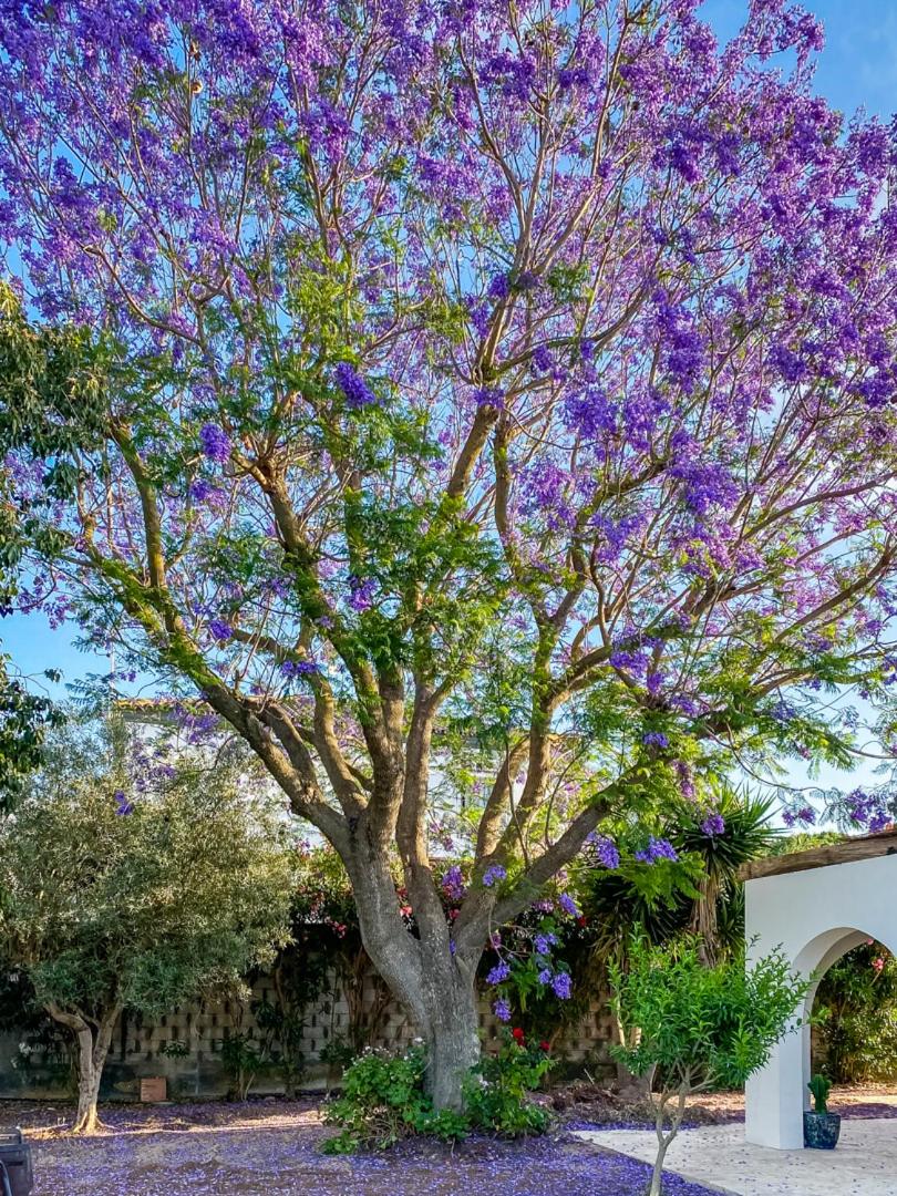 ONLY FAMILIES Villa and Guest House with Private Pool