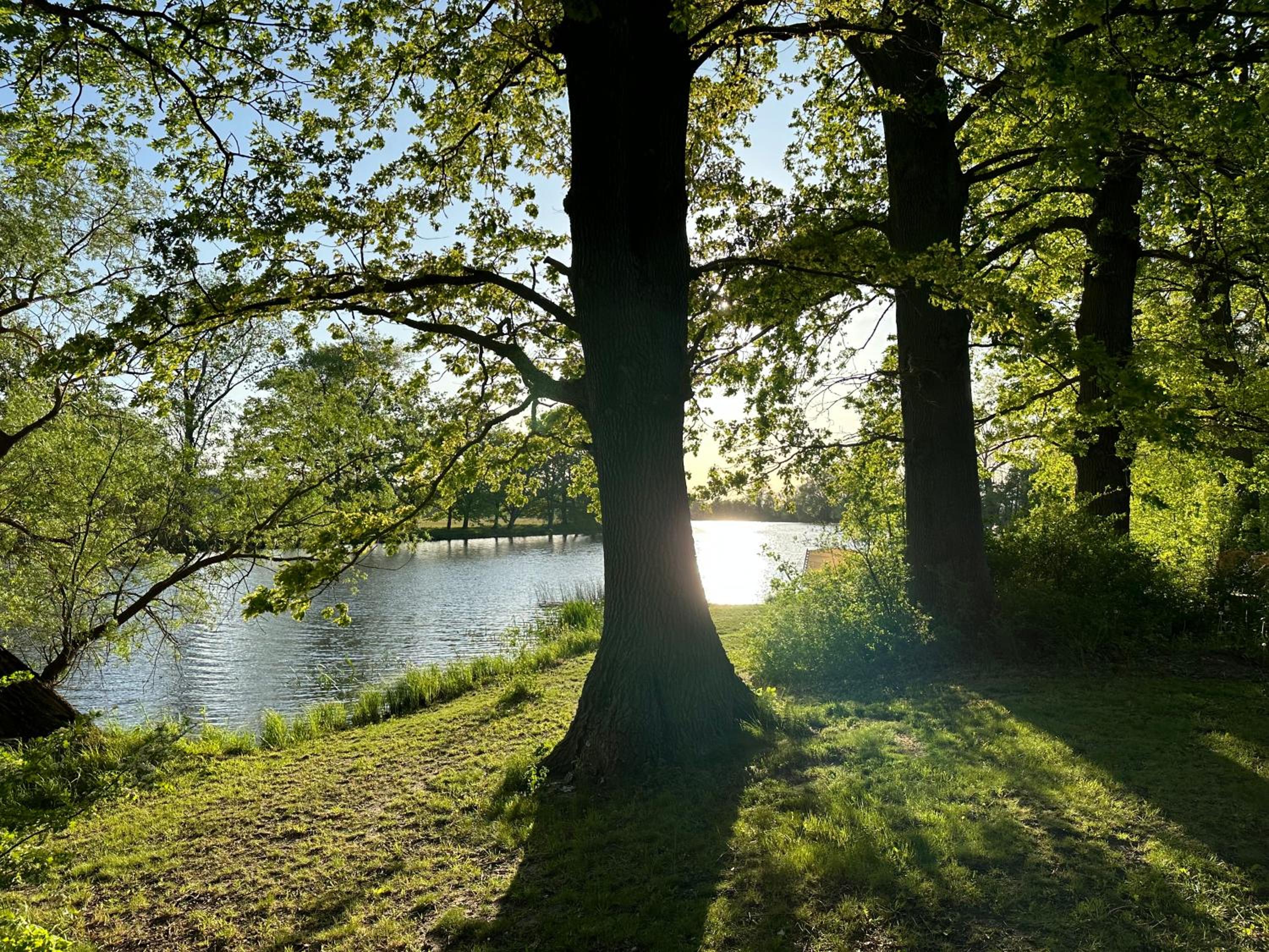 Villa Schuwardt auf Nordend