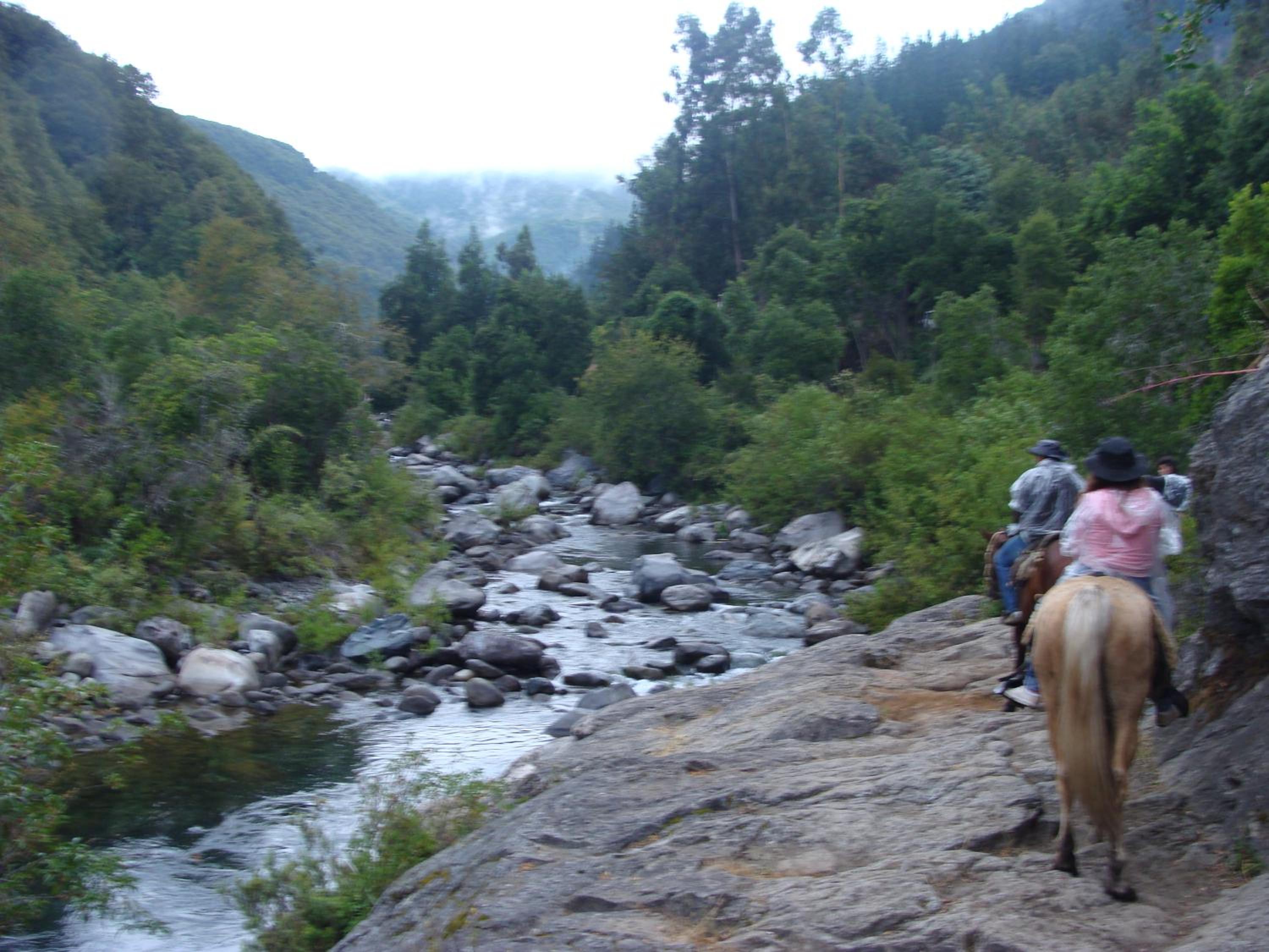 Turismo El Recodo, cabañas y camping