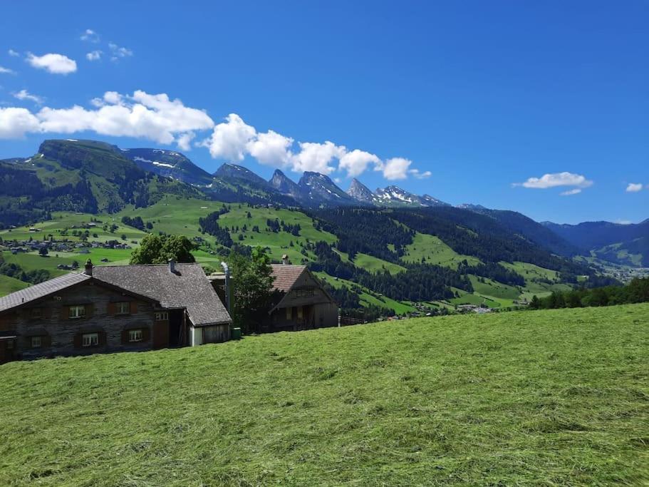 Ferienwohnung Schafbergblick