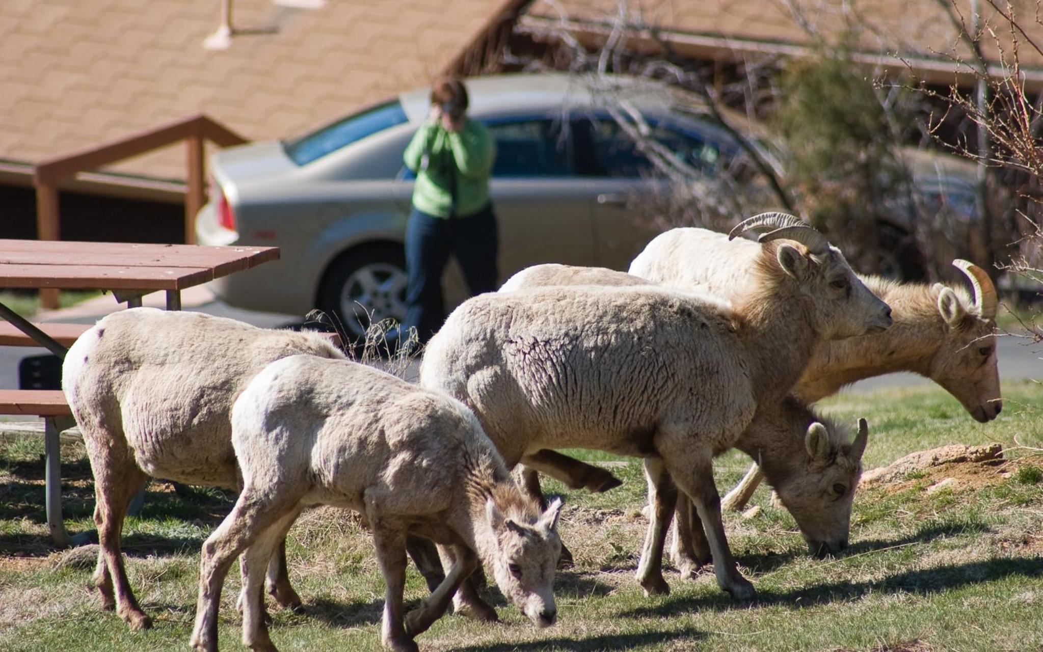 McGregor Mountain Lodge - Property Image 63