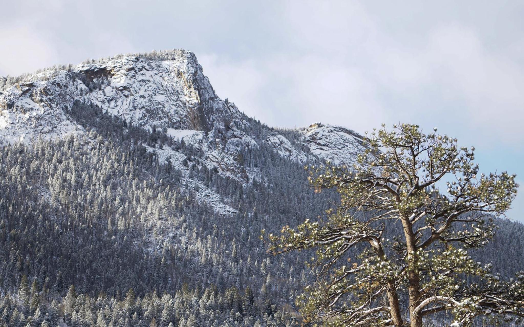 McGregor Mountain Lodge - Property Image 61