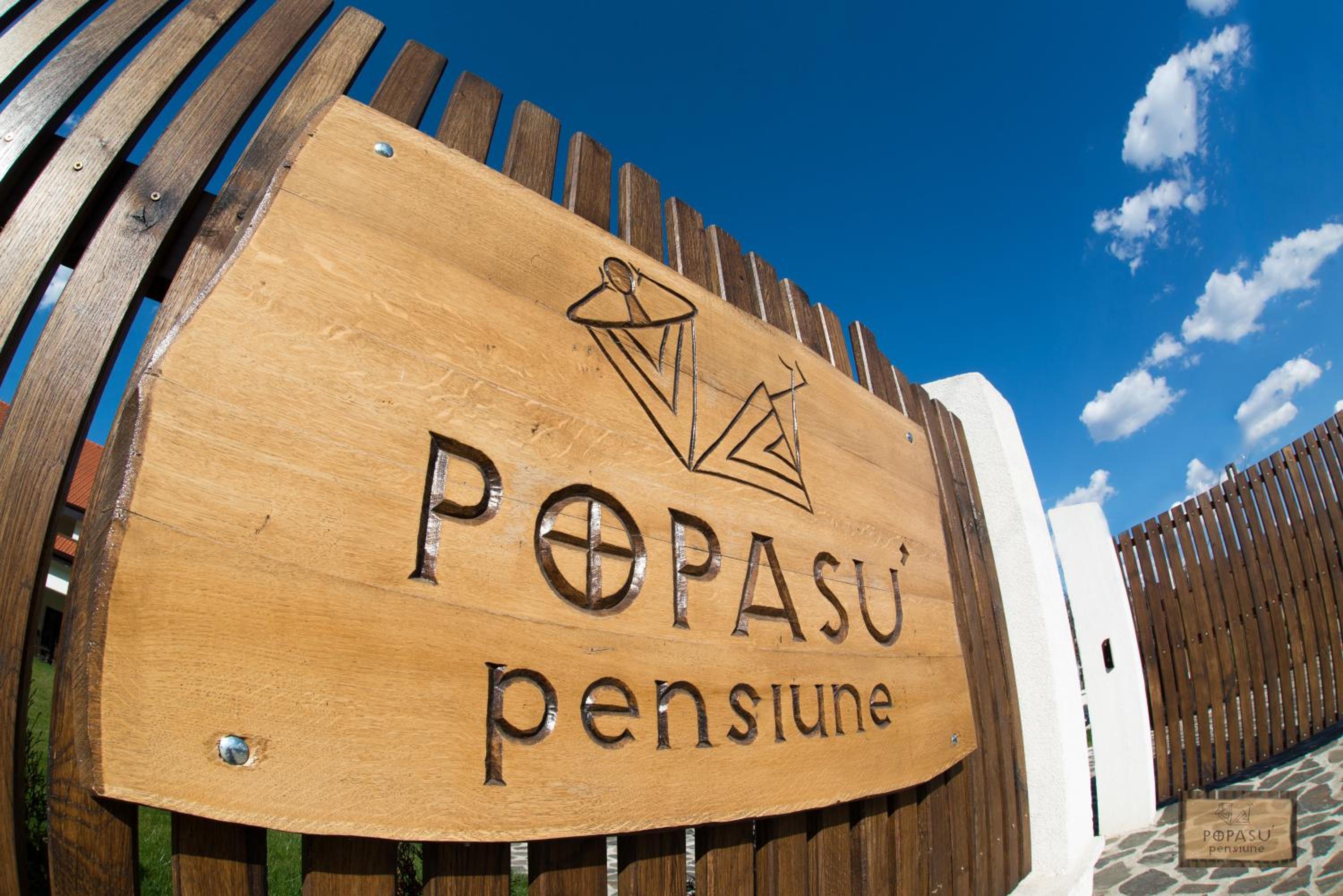 Pensiunea Popasu view 2