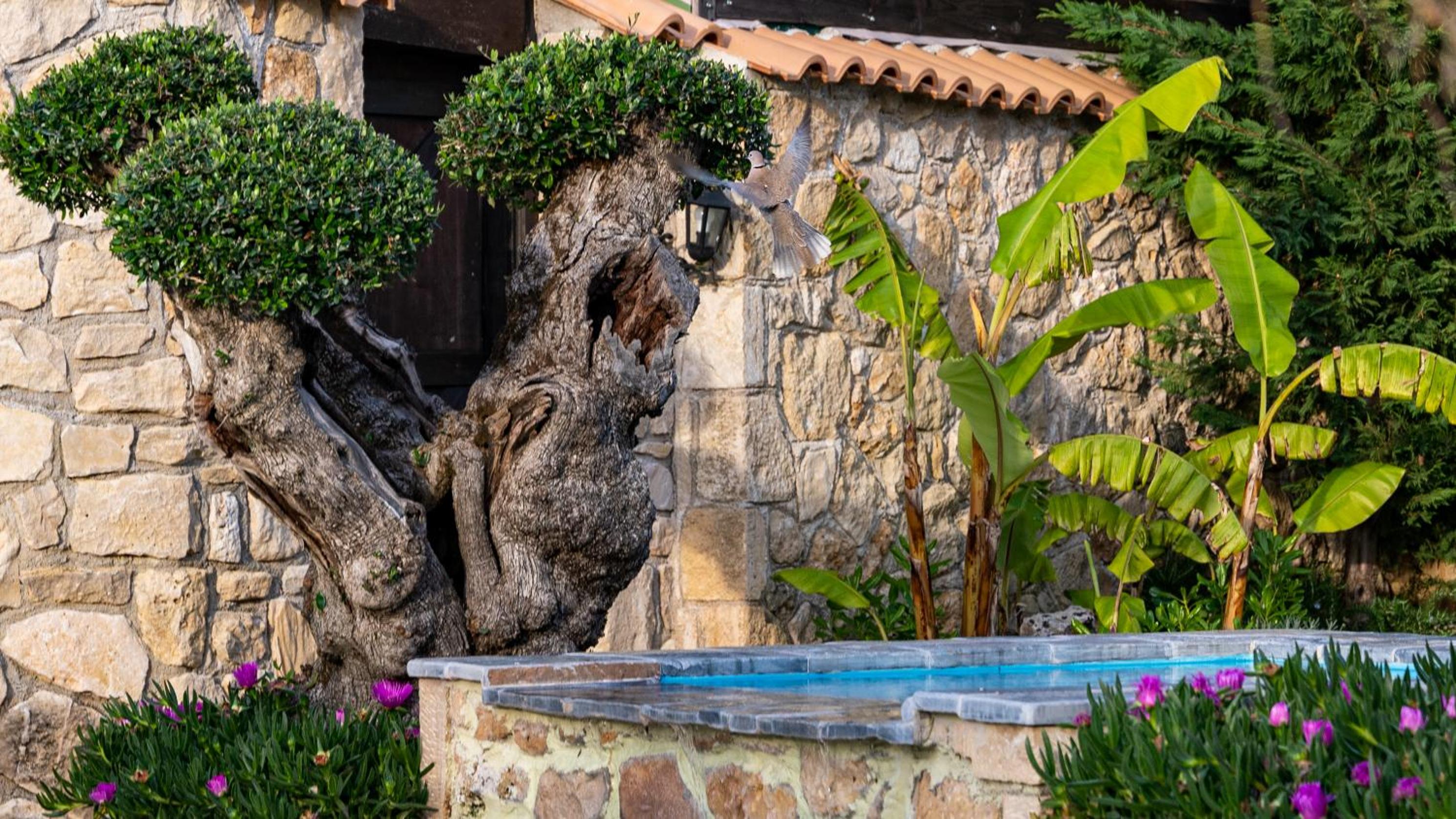 Art House Villa
