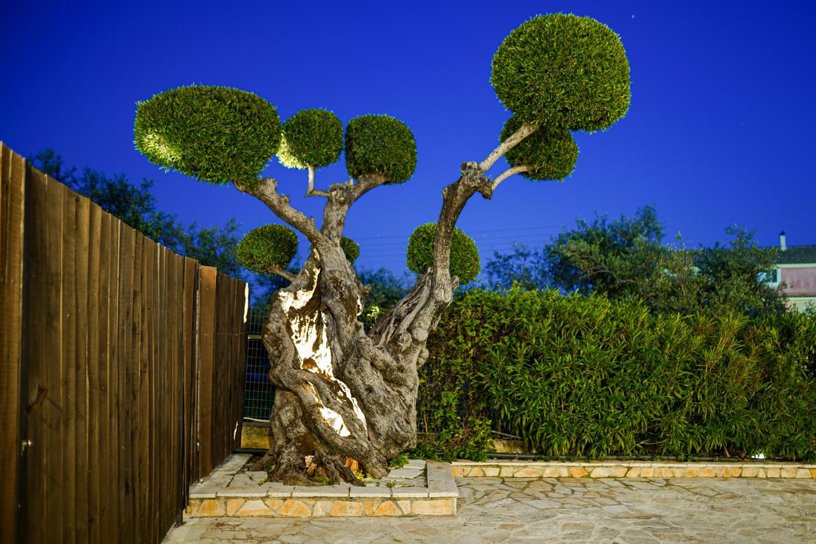 Art House Villa