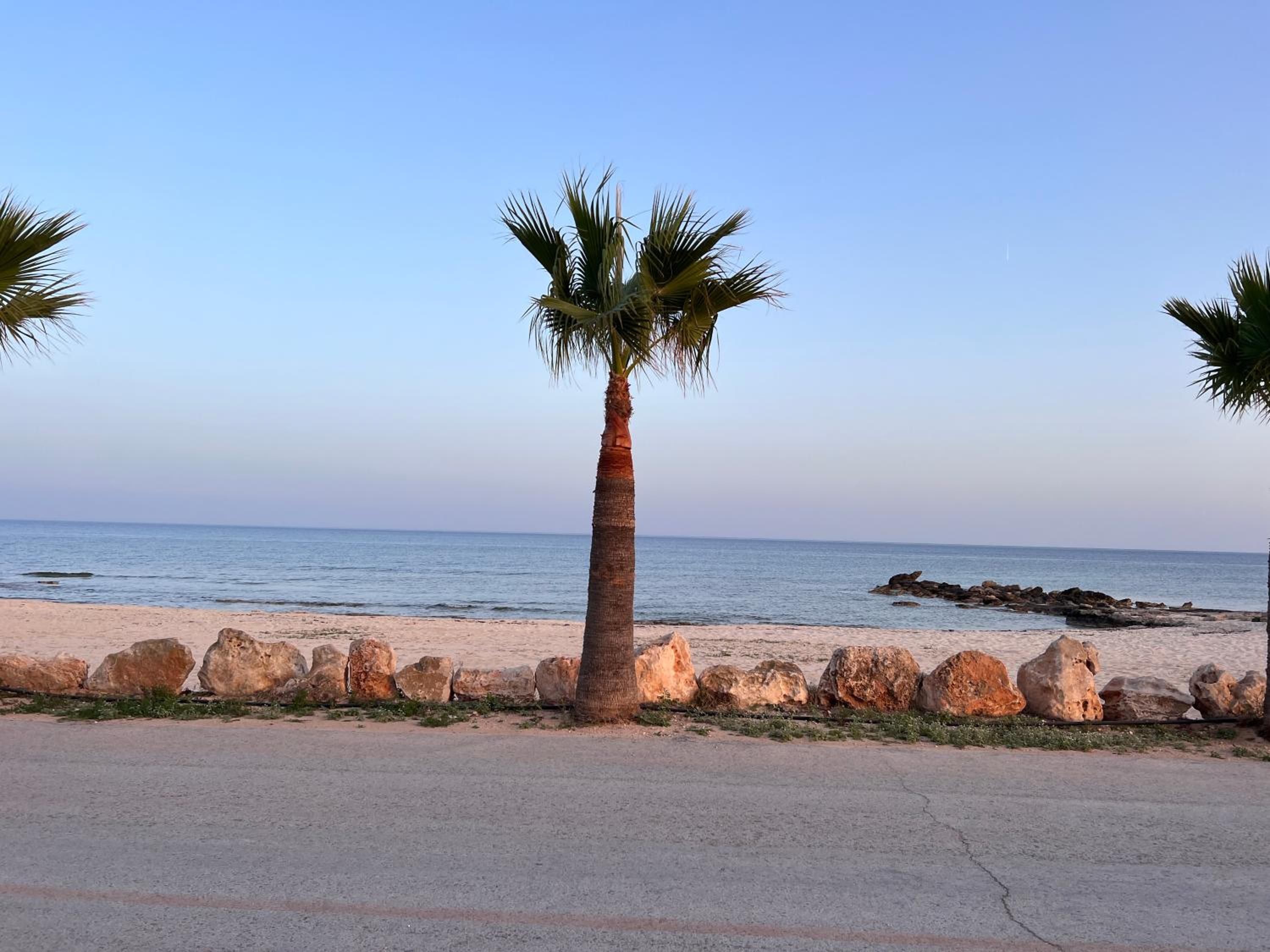 Leo Boutique Beachfront