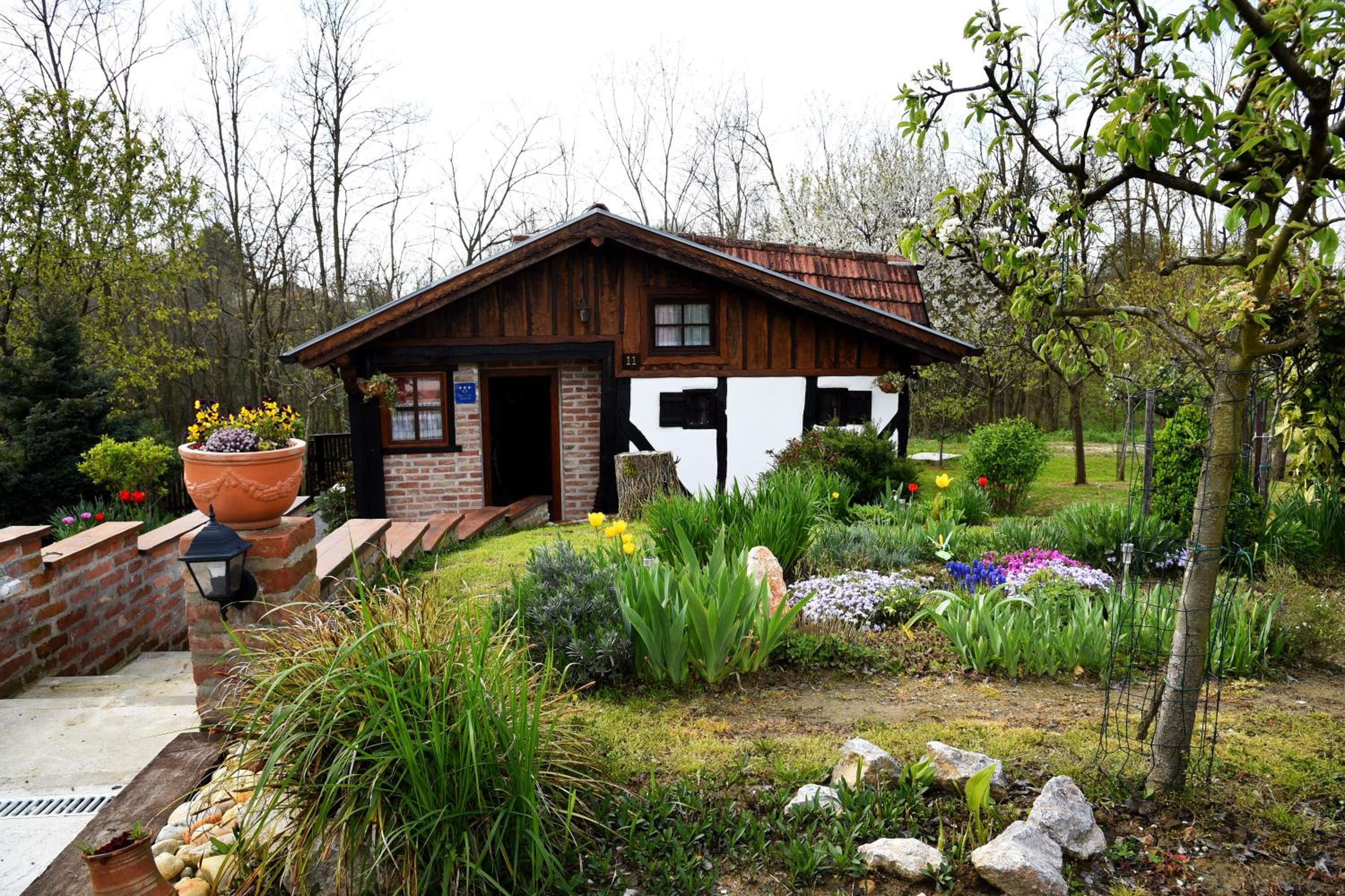 Photo 11