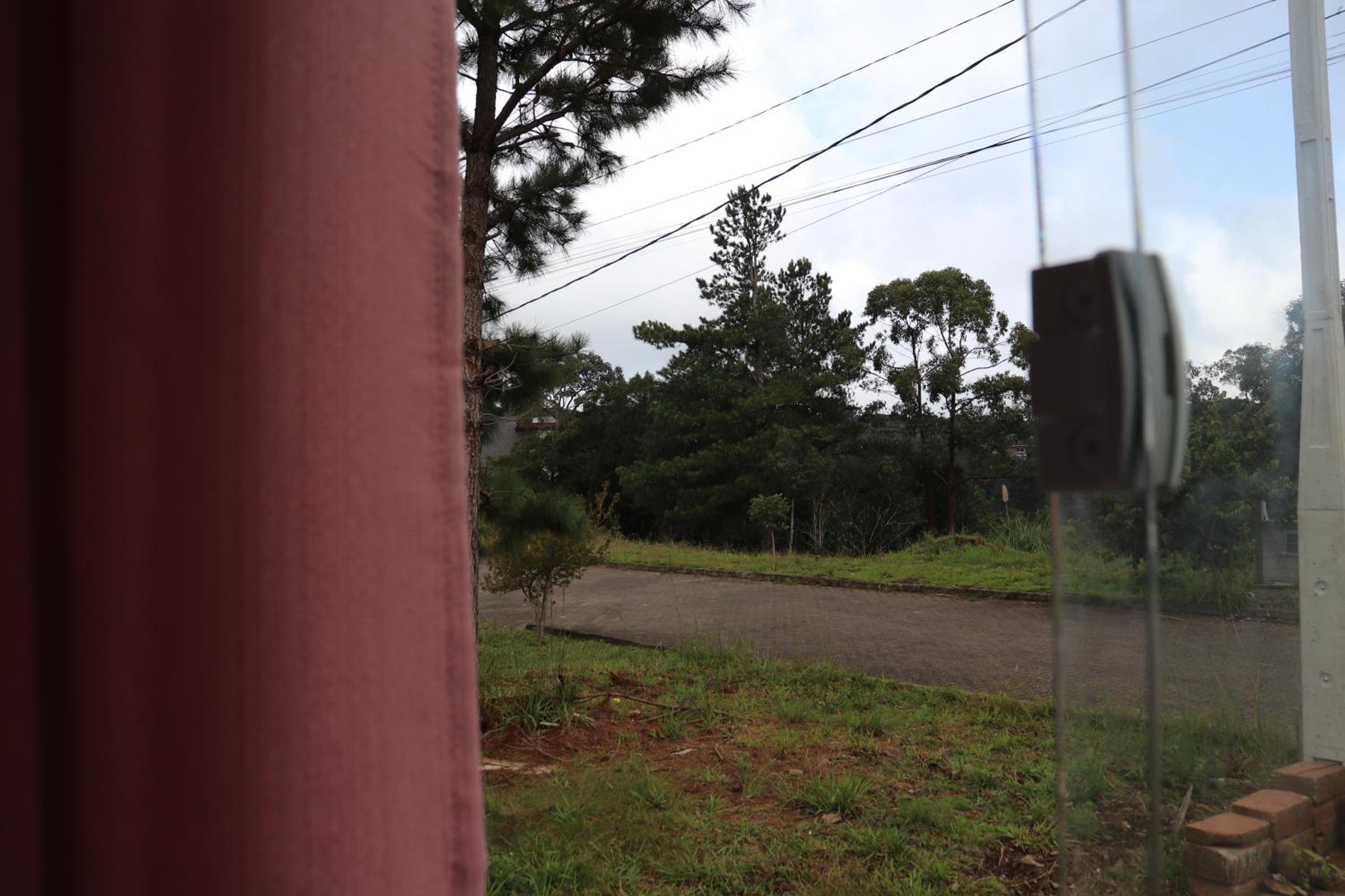 Canela Container
