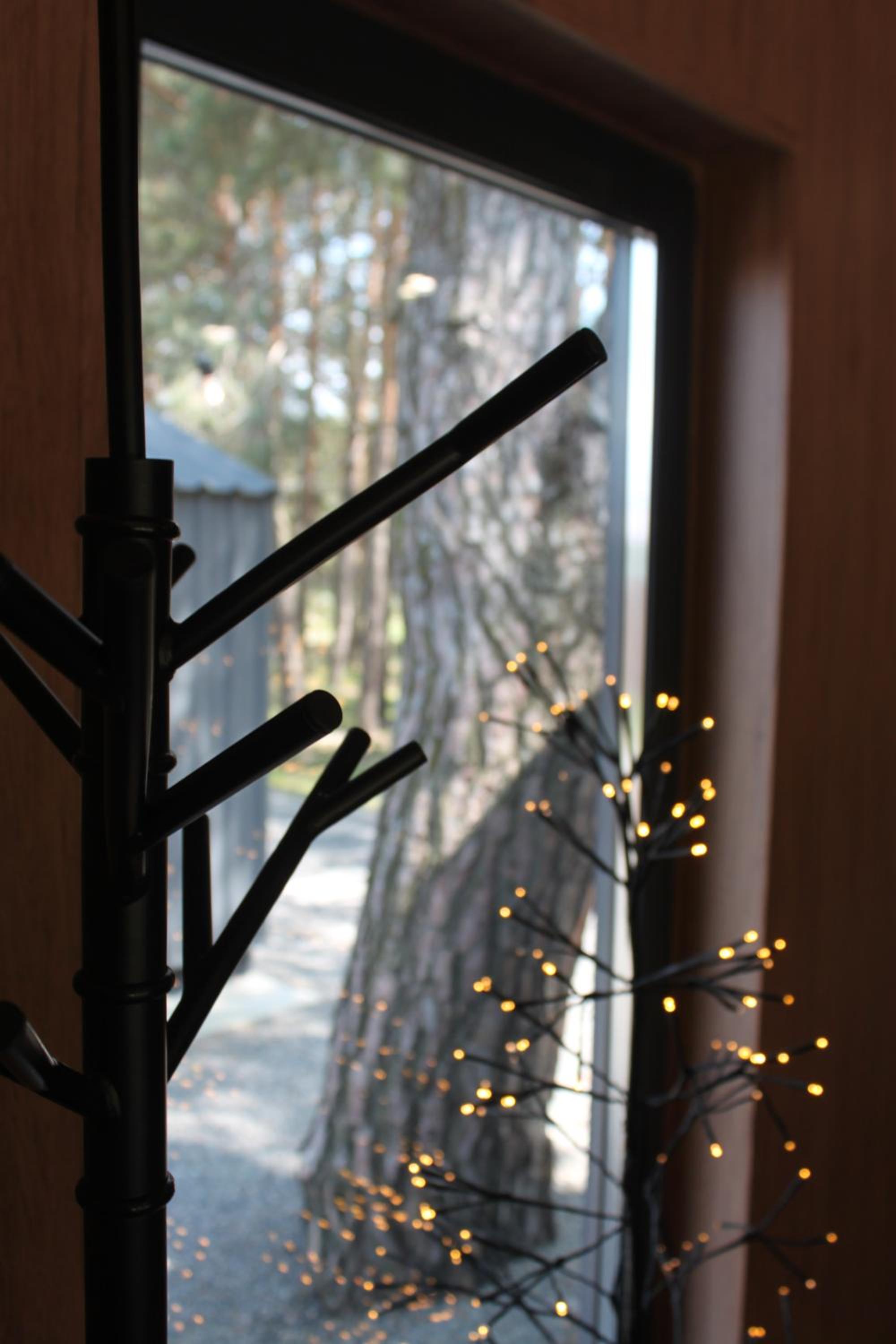 Photo 45