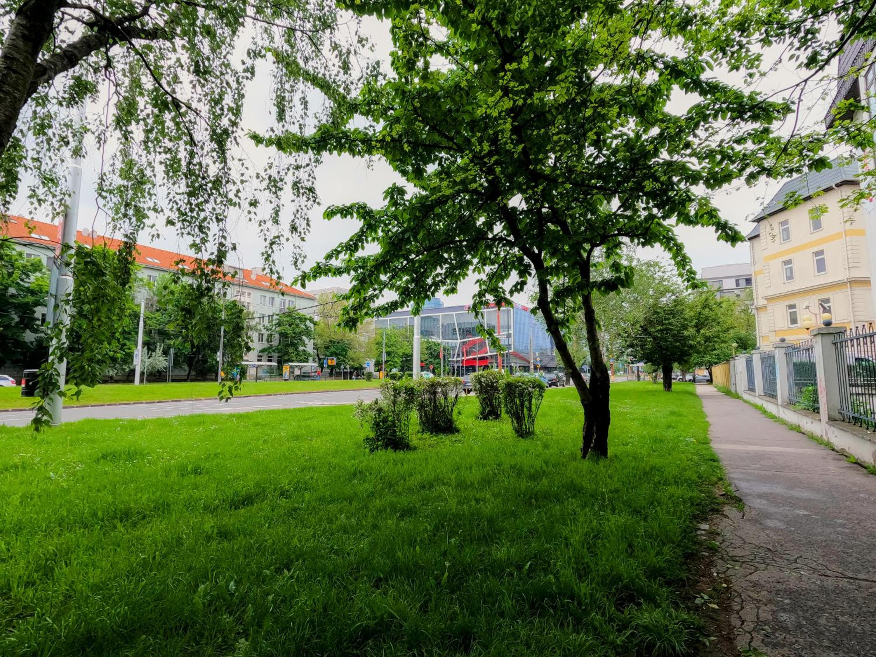 Brand new apartment by hockey stadium view 4