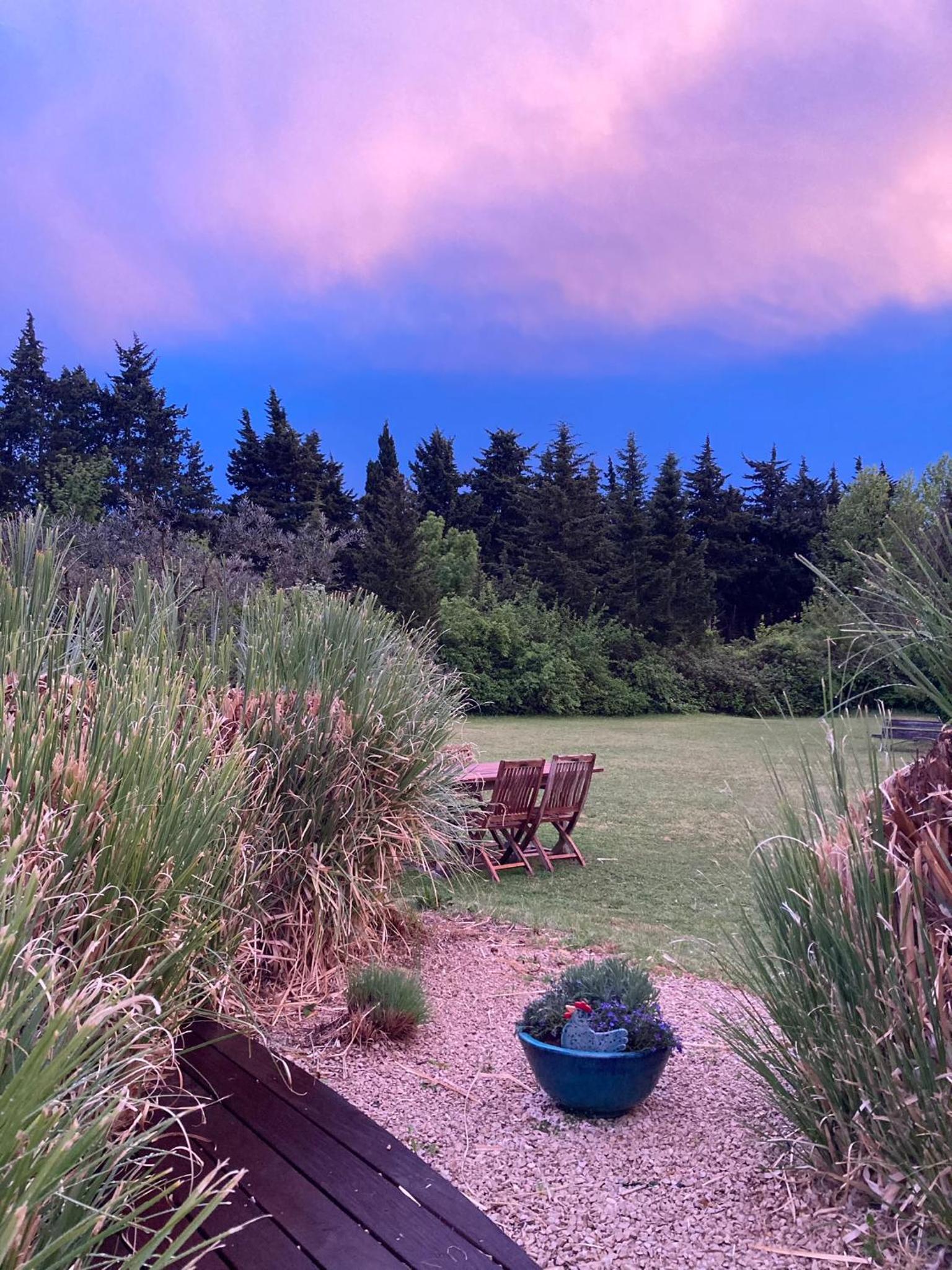 Photo 29