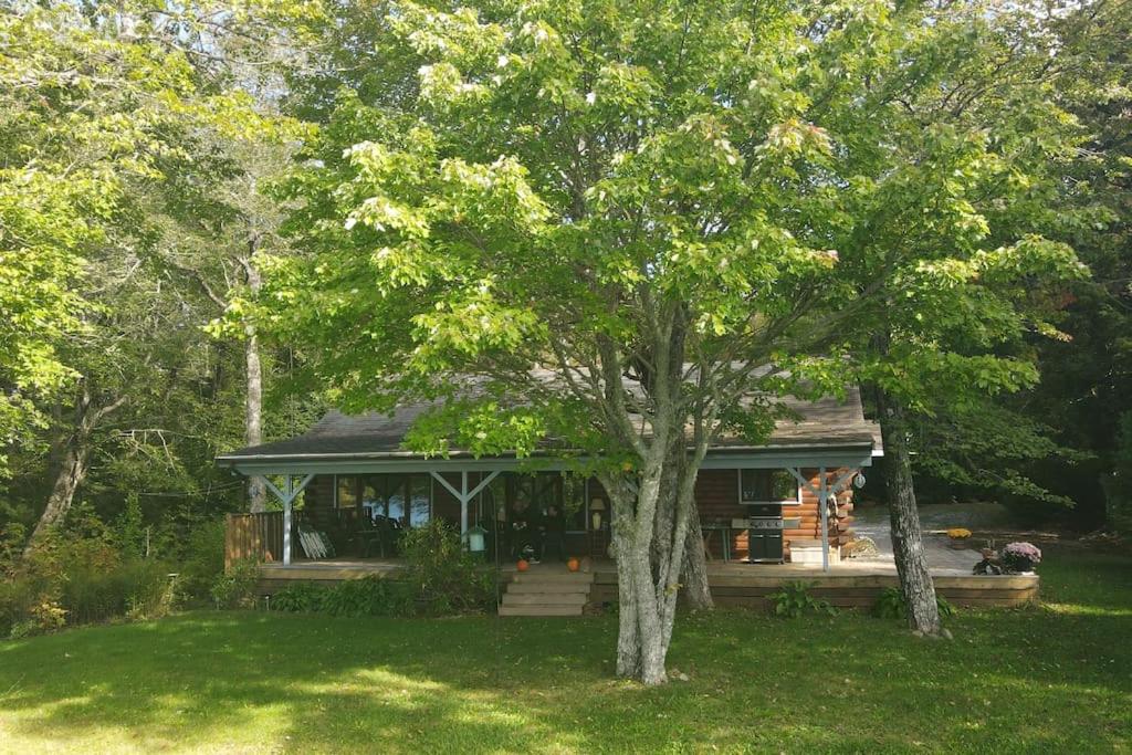 Sherbrooke Lake Cottage with Private Beach - Image 4
