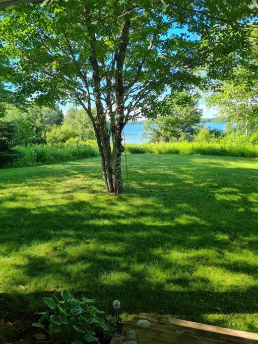 Sherbrooke Lake Cottage with Private Beach