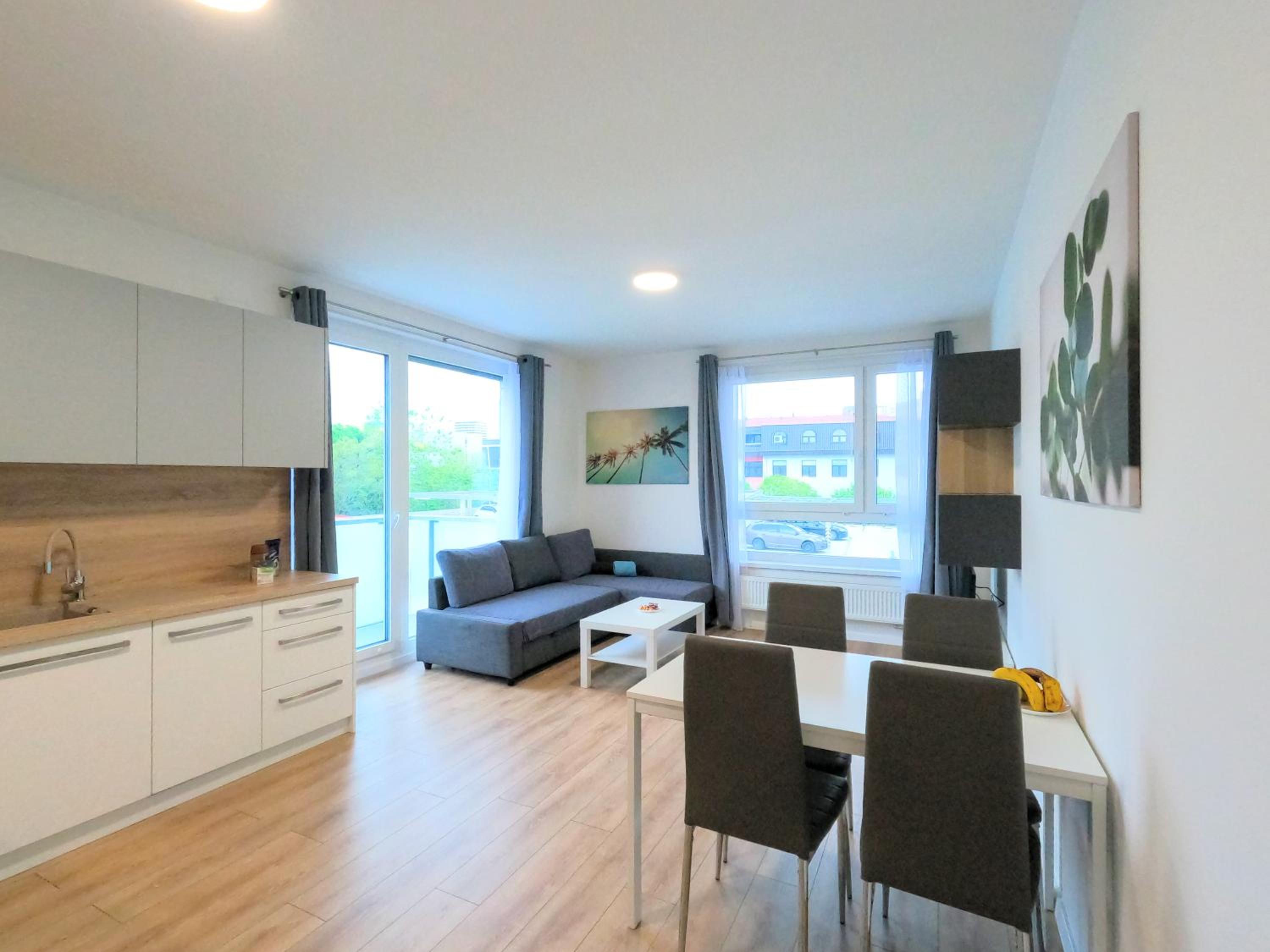 Brand new apartment by hockey stadium view 2