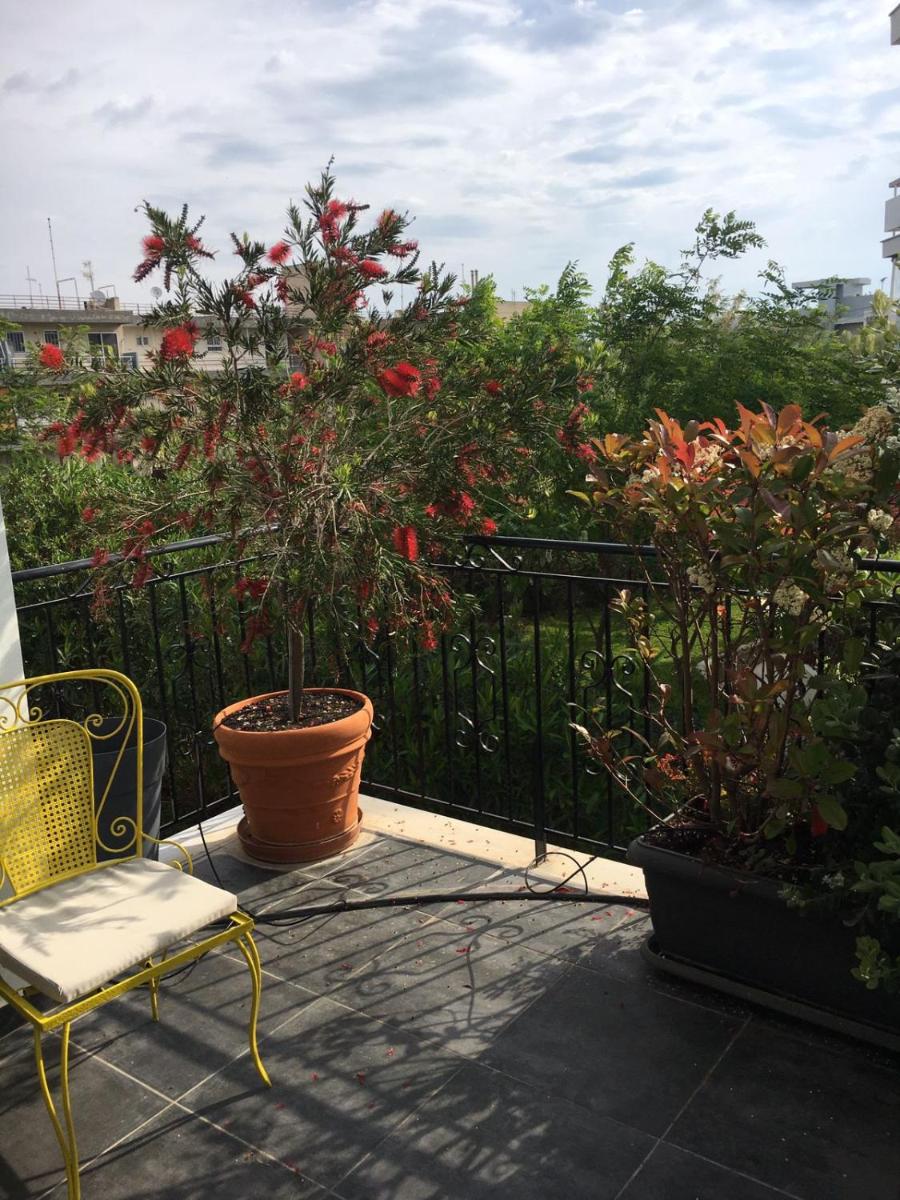 Sunny Sea House photo 3