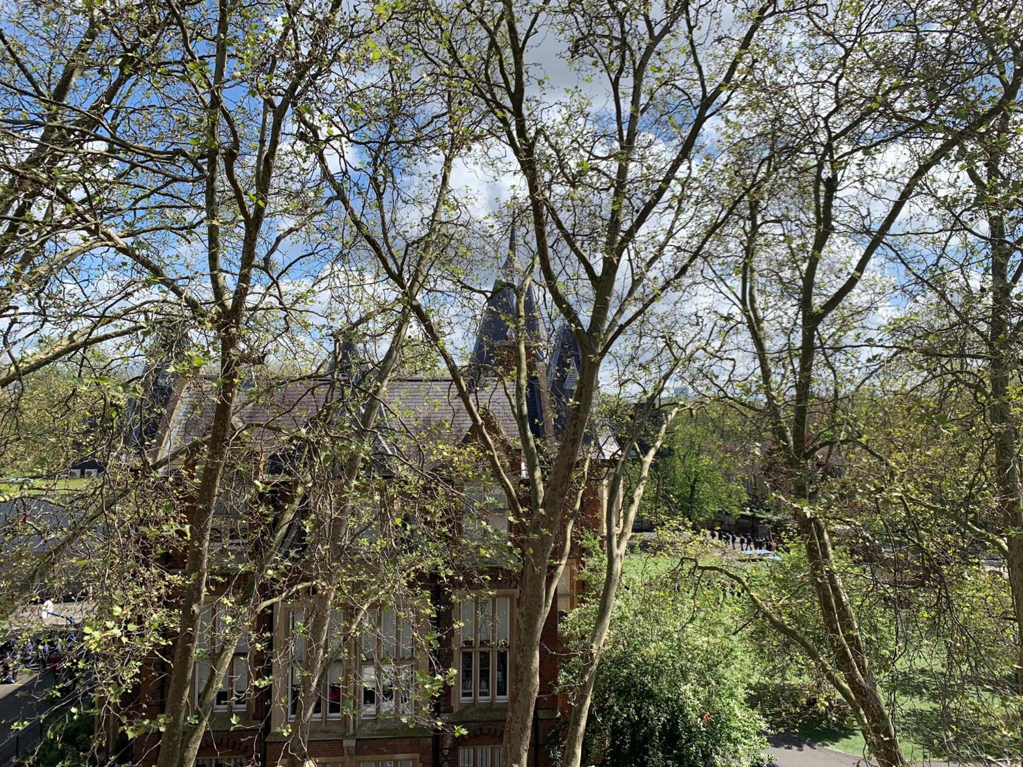 Lovely Apartment in Victoria Park Village