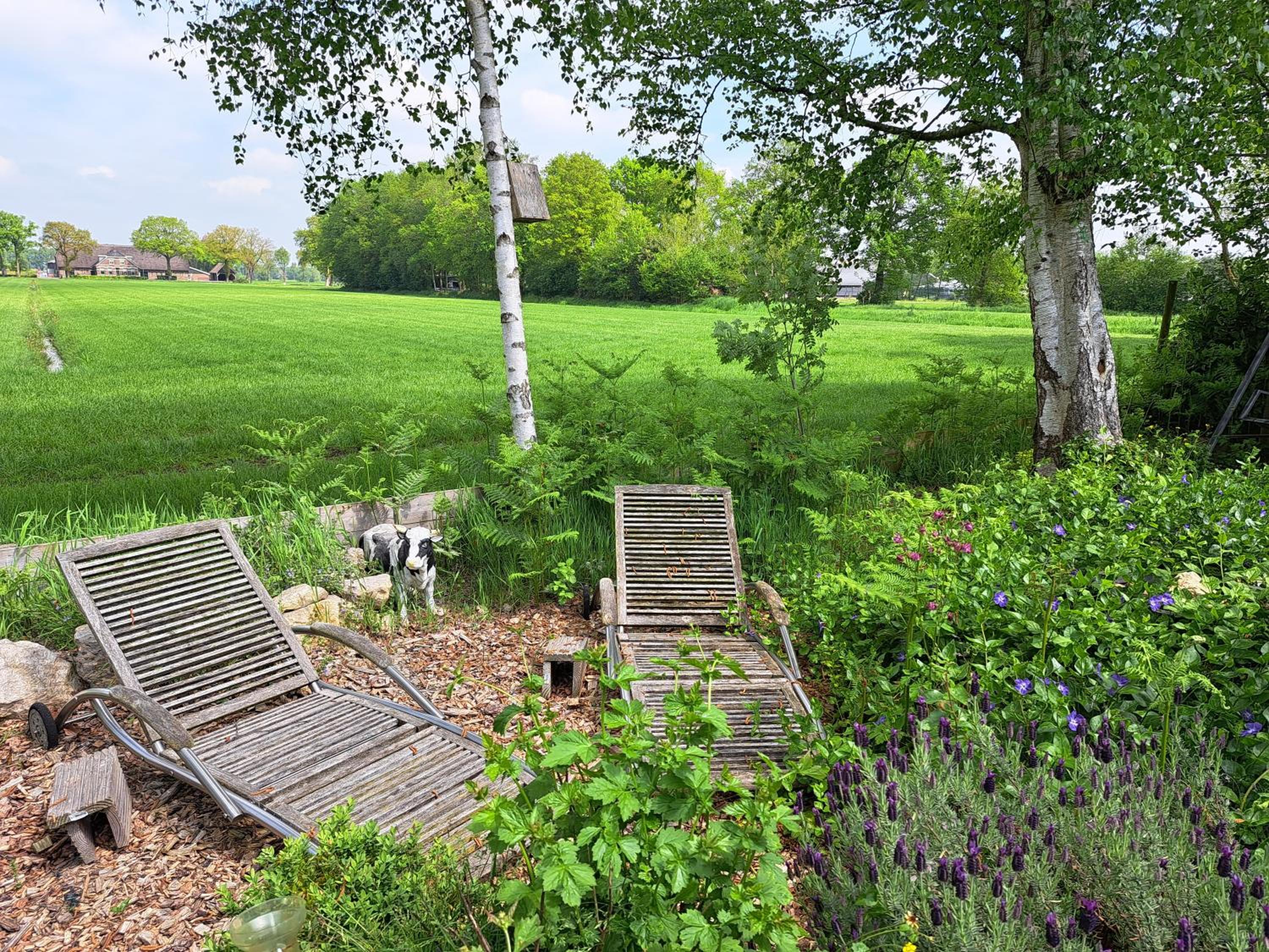 Buitenplaats Reestdal view 4