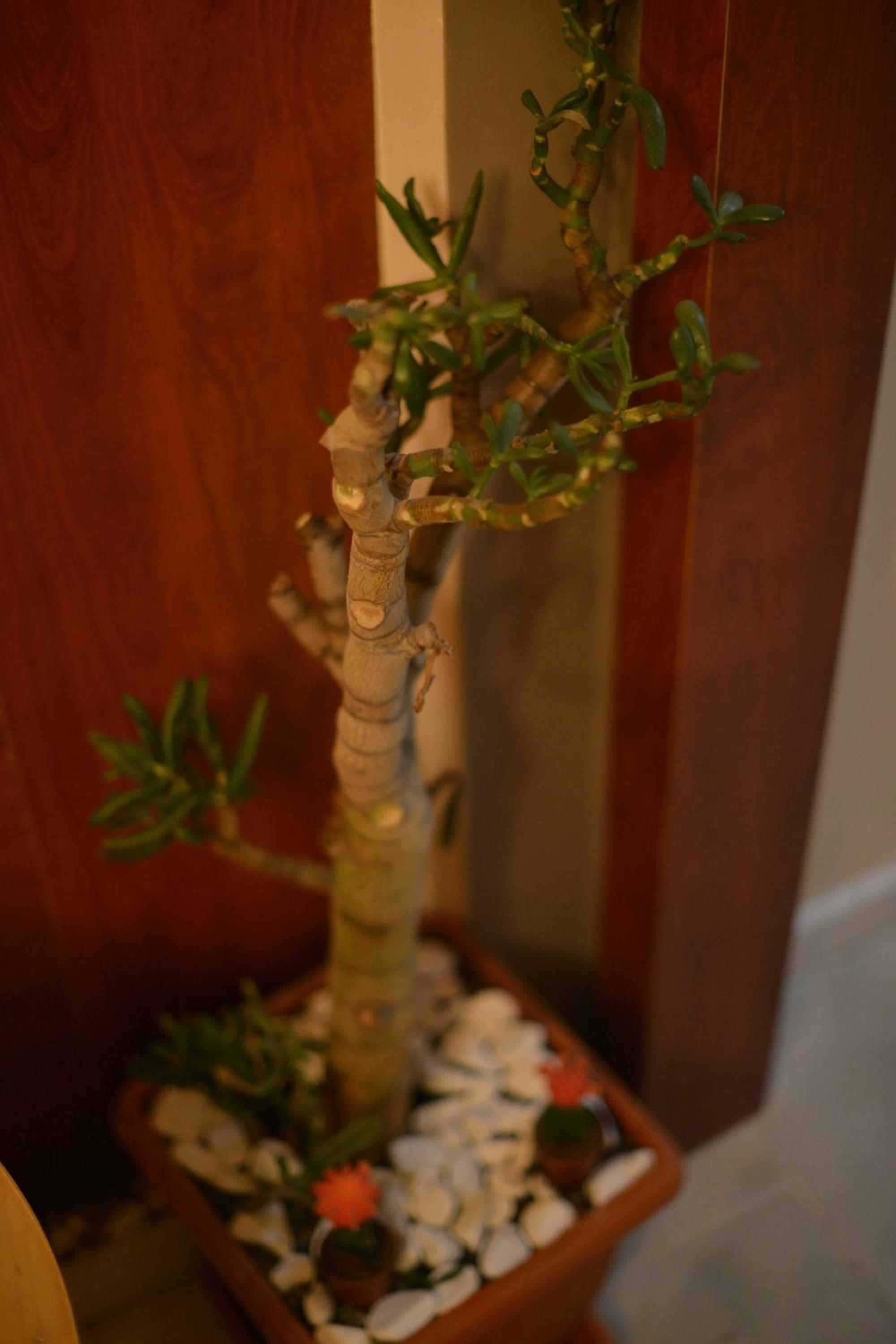 Letter Hotel - Image 14