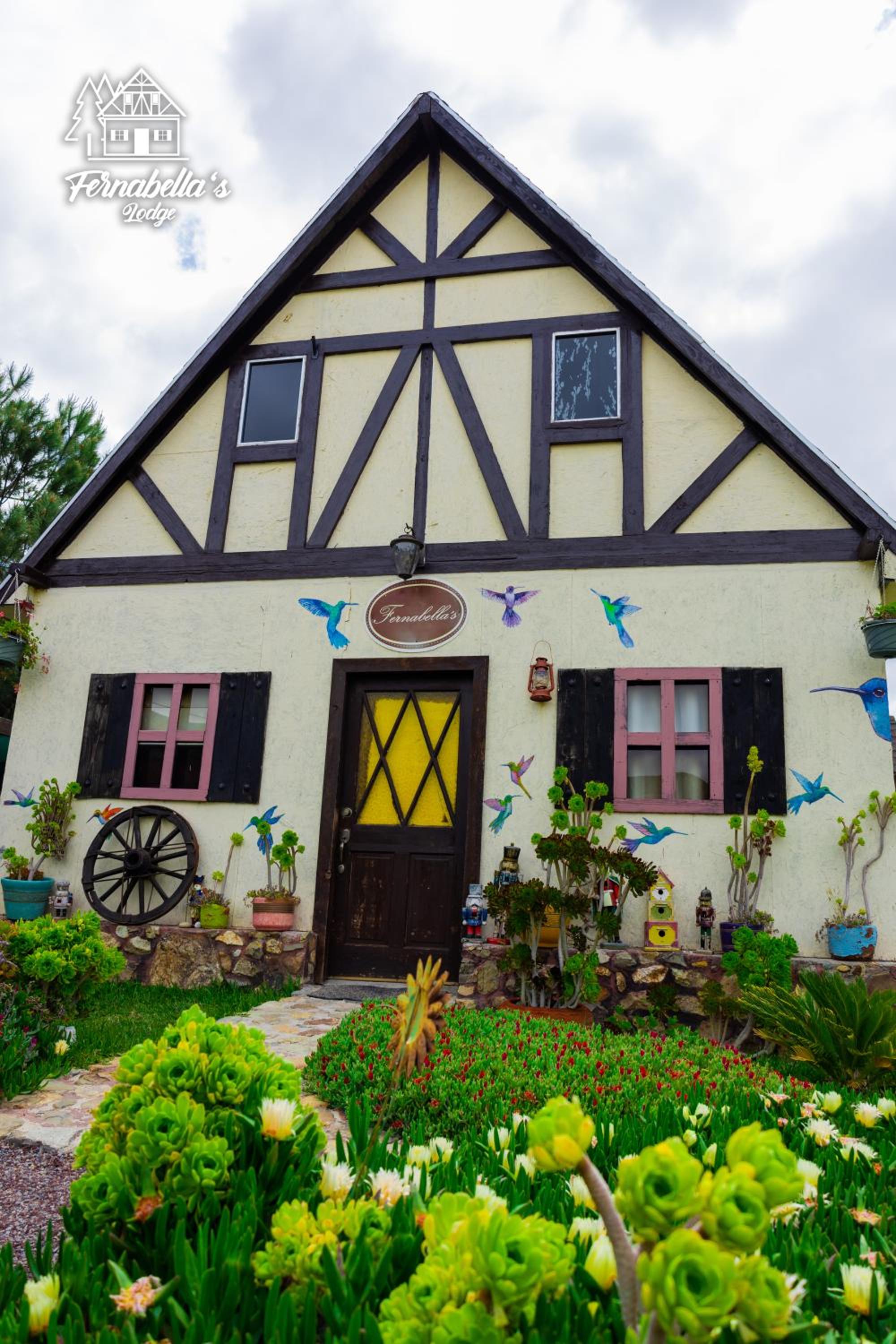Fernabella's Lodge