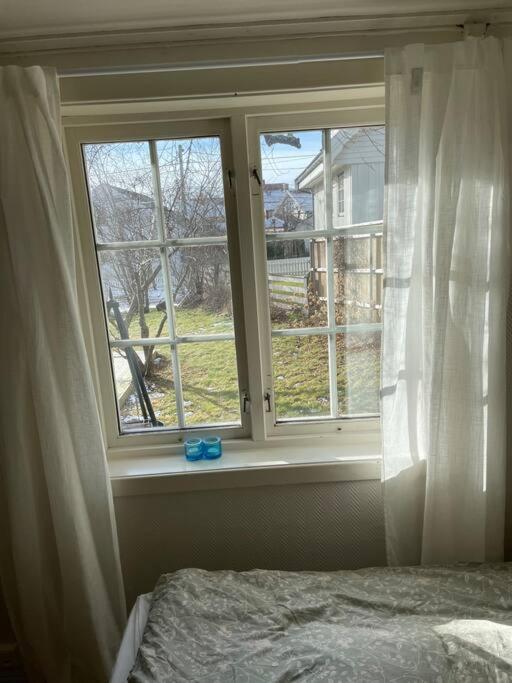 Apartament with access to garden, central, quiet and with free parking view 2