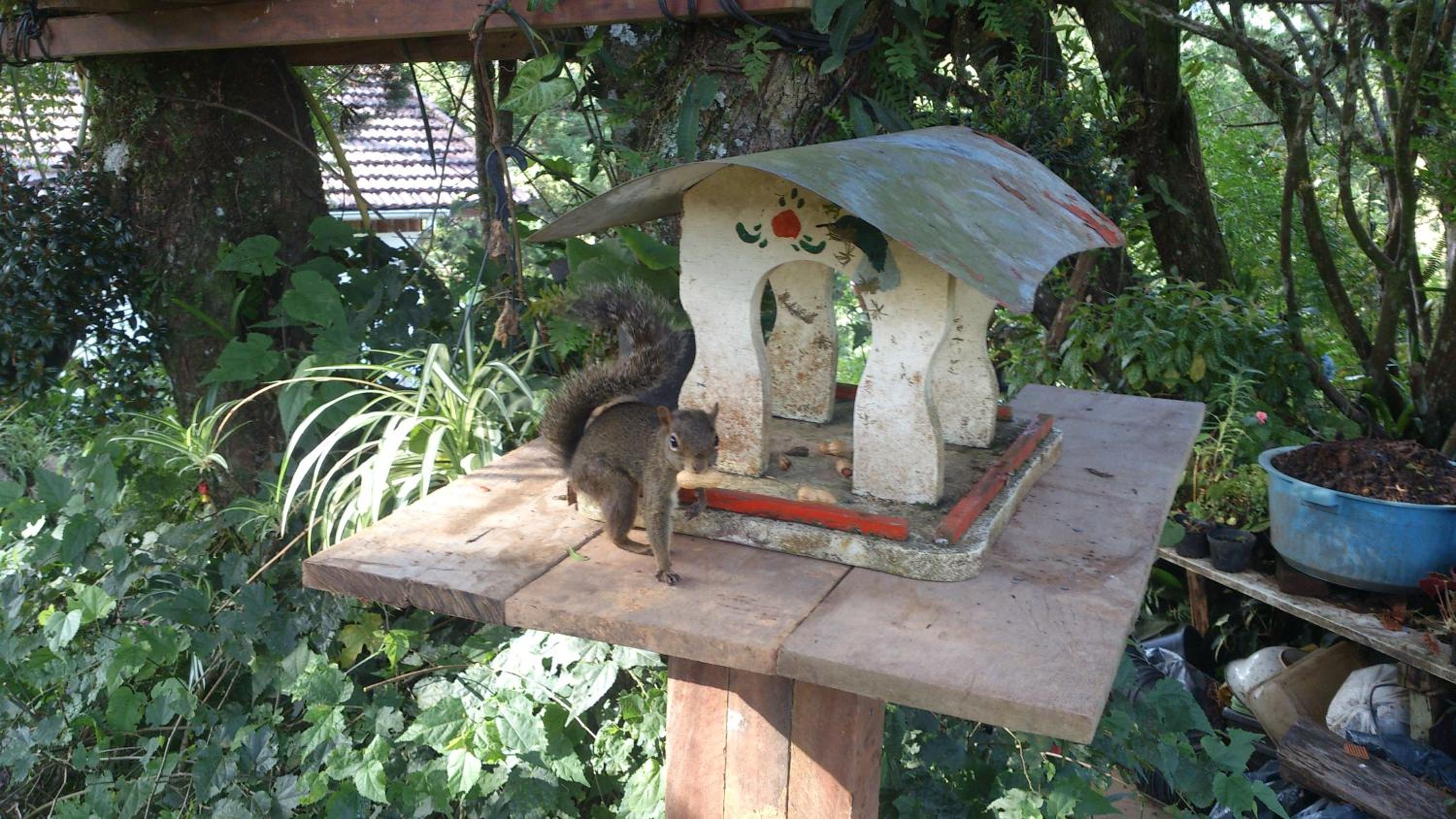 Photo 43