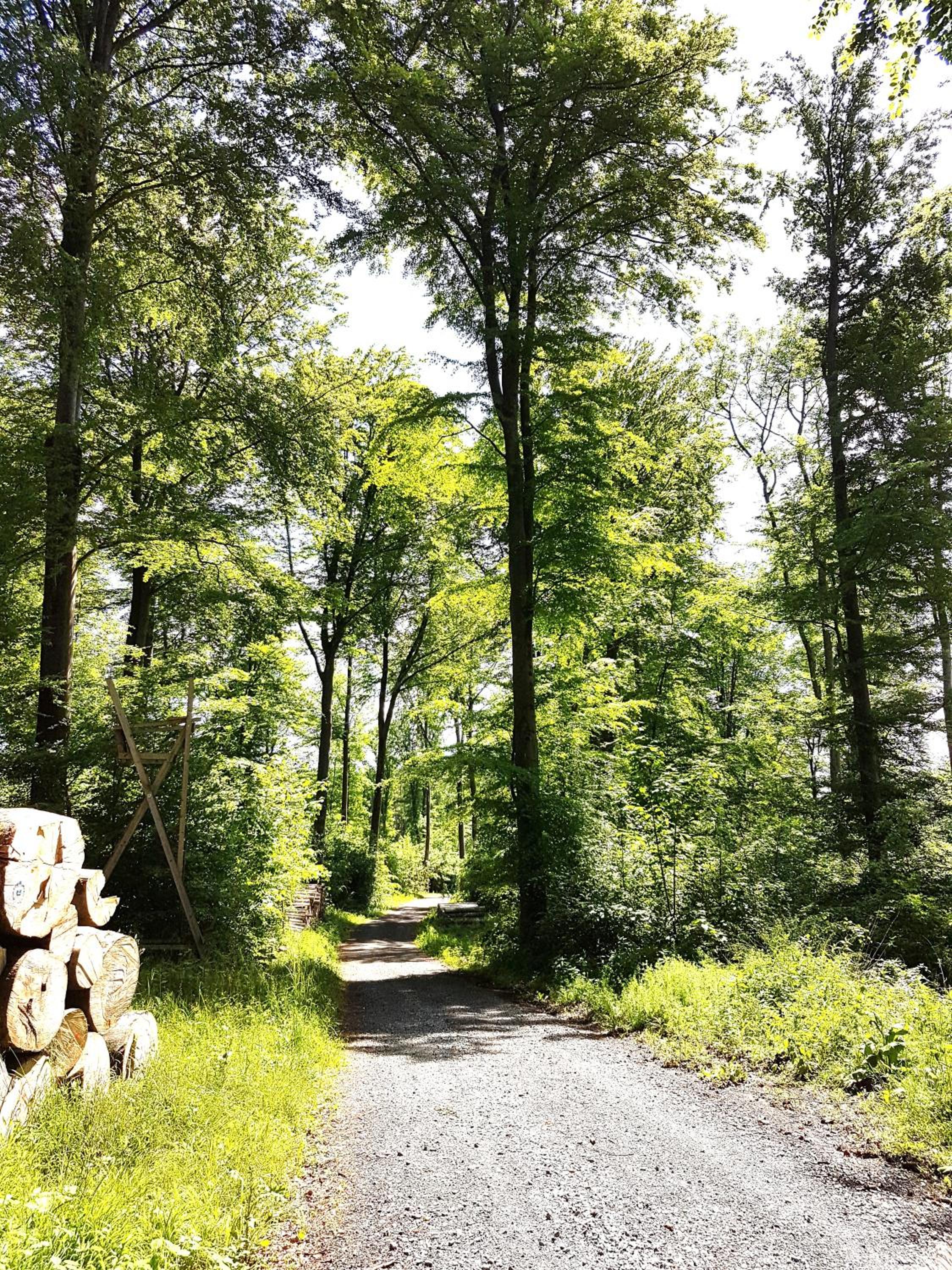 Steewer Landhaus gemütliche Ferienwohnung bis 6 Pers in ruhiger Ortsrandlage