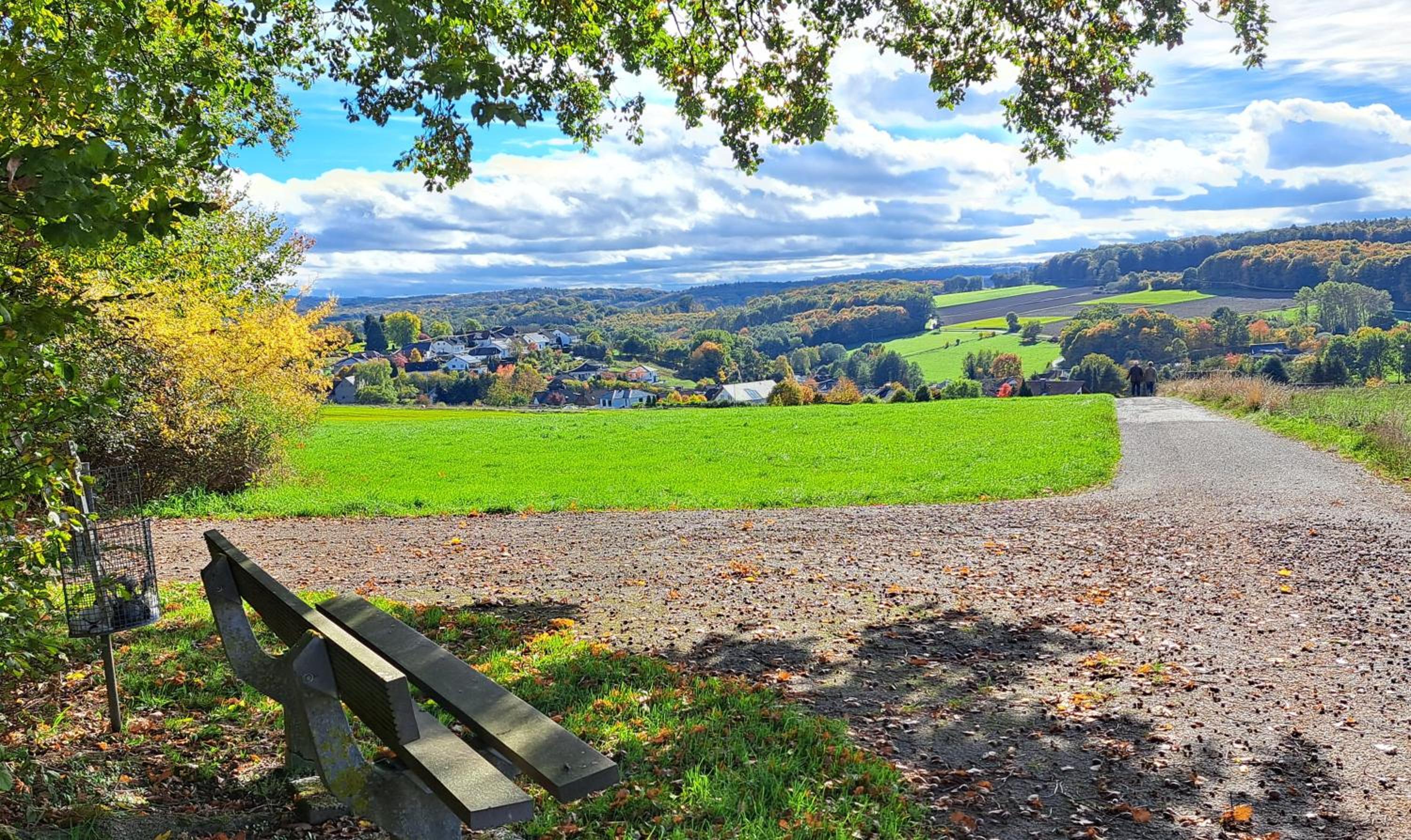 Steewer Landhaus gemütliche Ferienwohnung bis 6 Pers in ruhiger Ortsrandlage