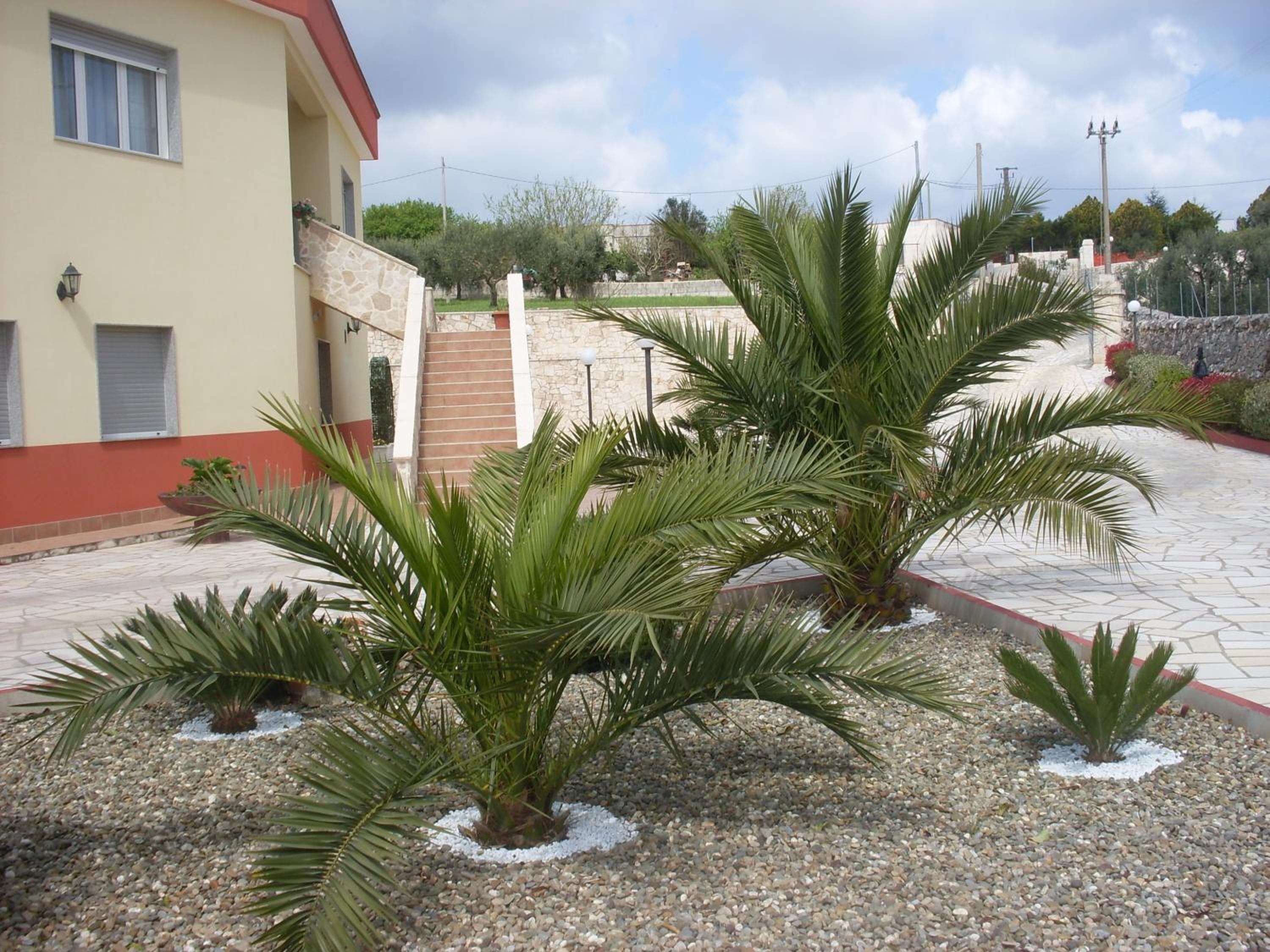 Villa Mafalda photo 2