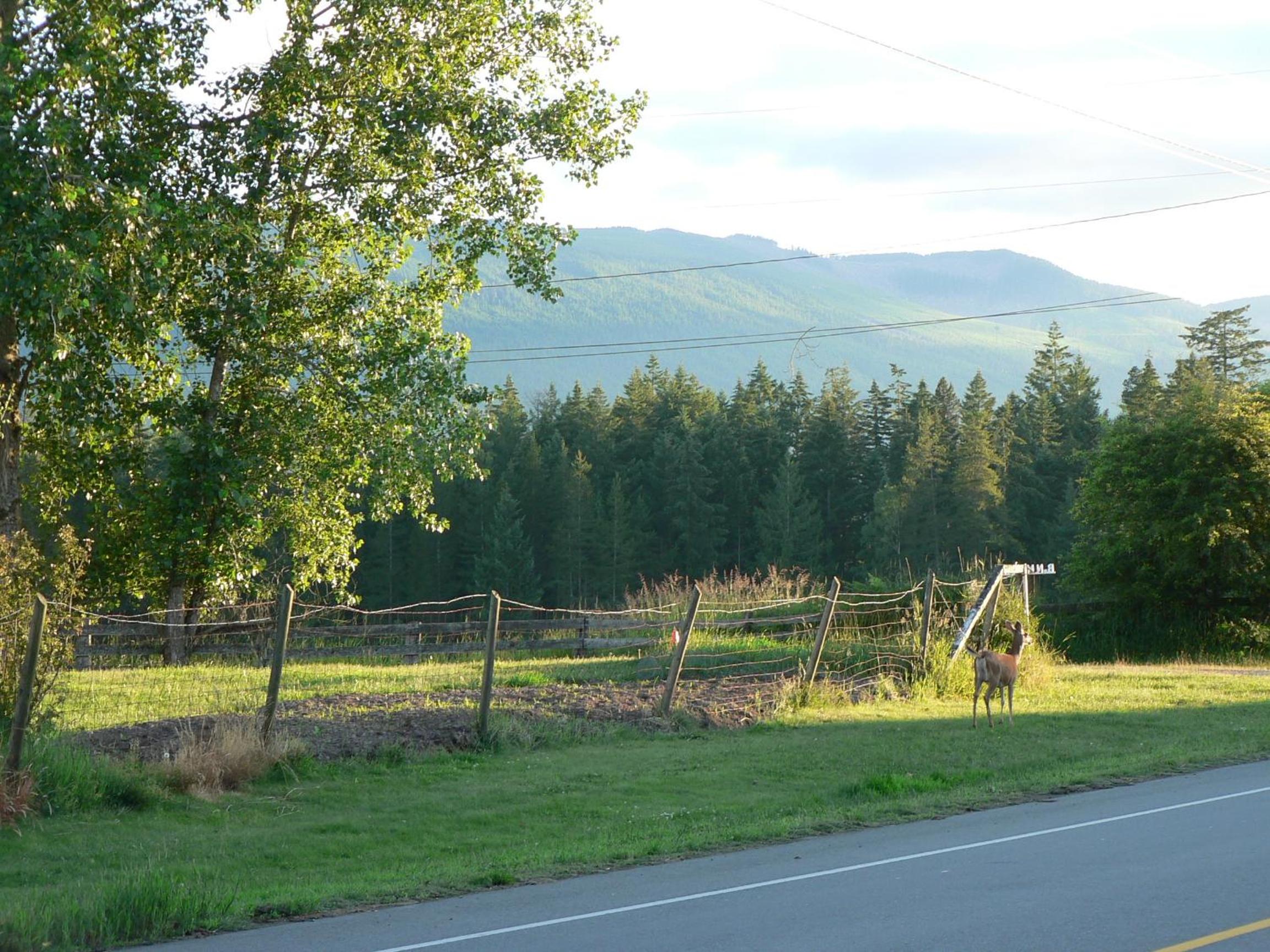 Parksville Vacations - Cedar Song BB - Property Image 2