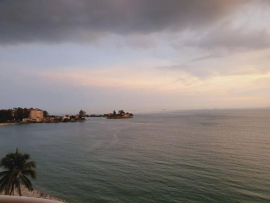 The Arena's Lavender @ Tanjung Tuan photo 6
