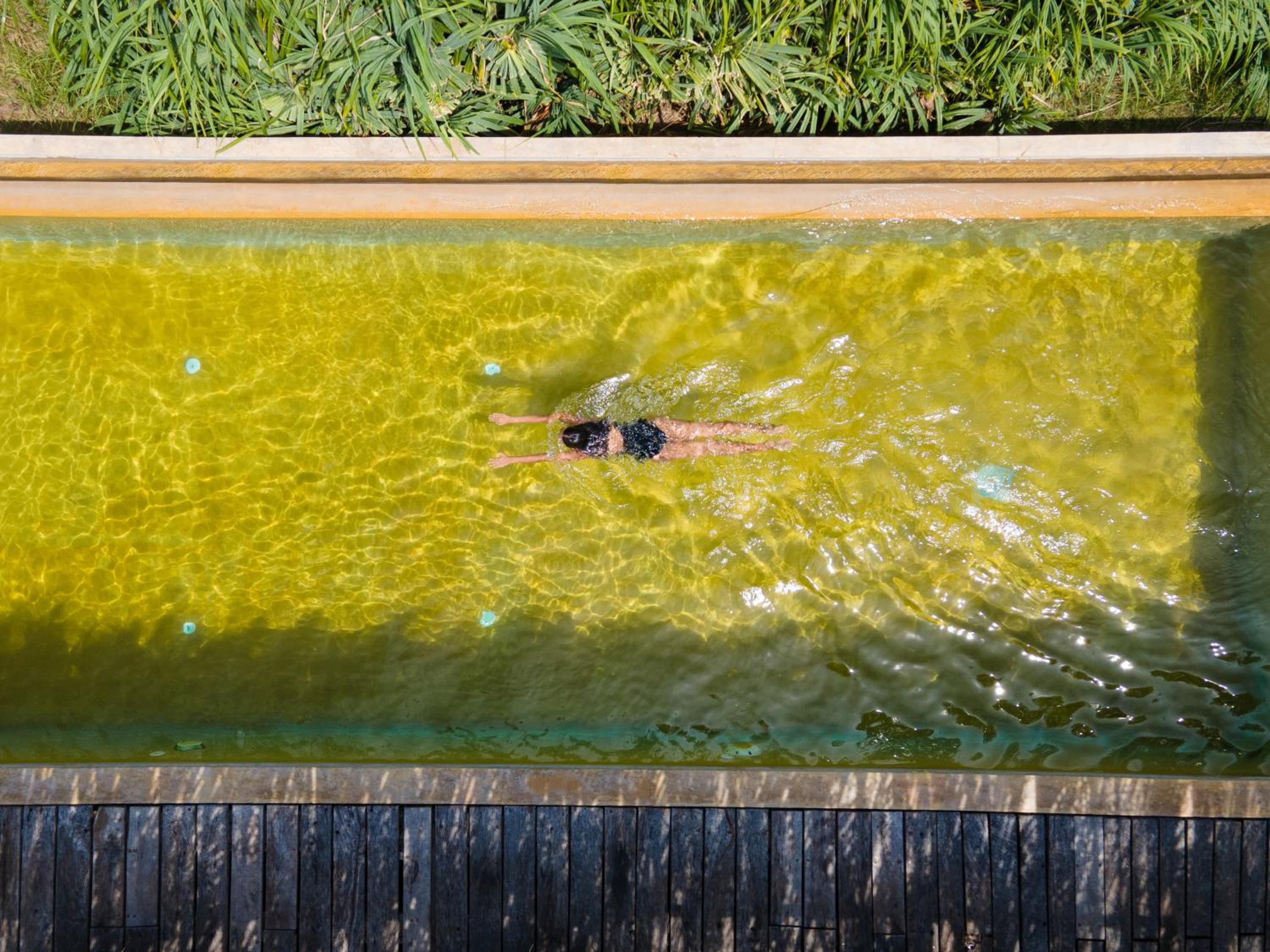 Elements Beach & Nature Resort