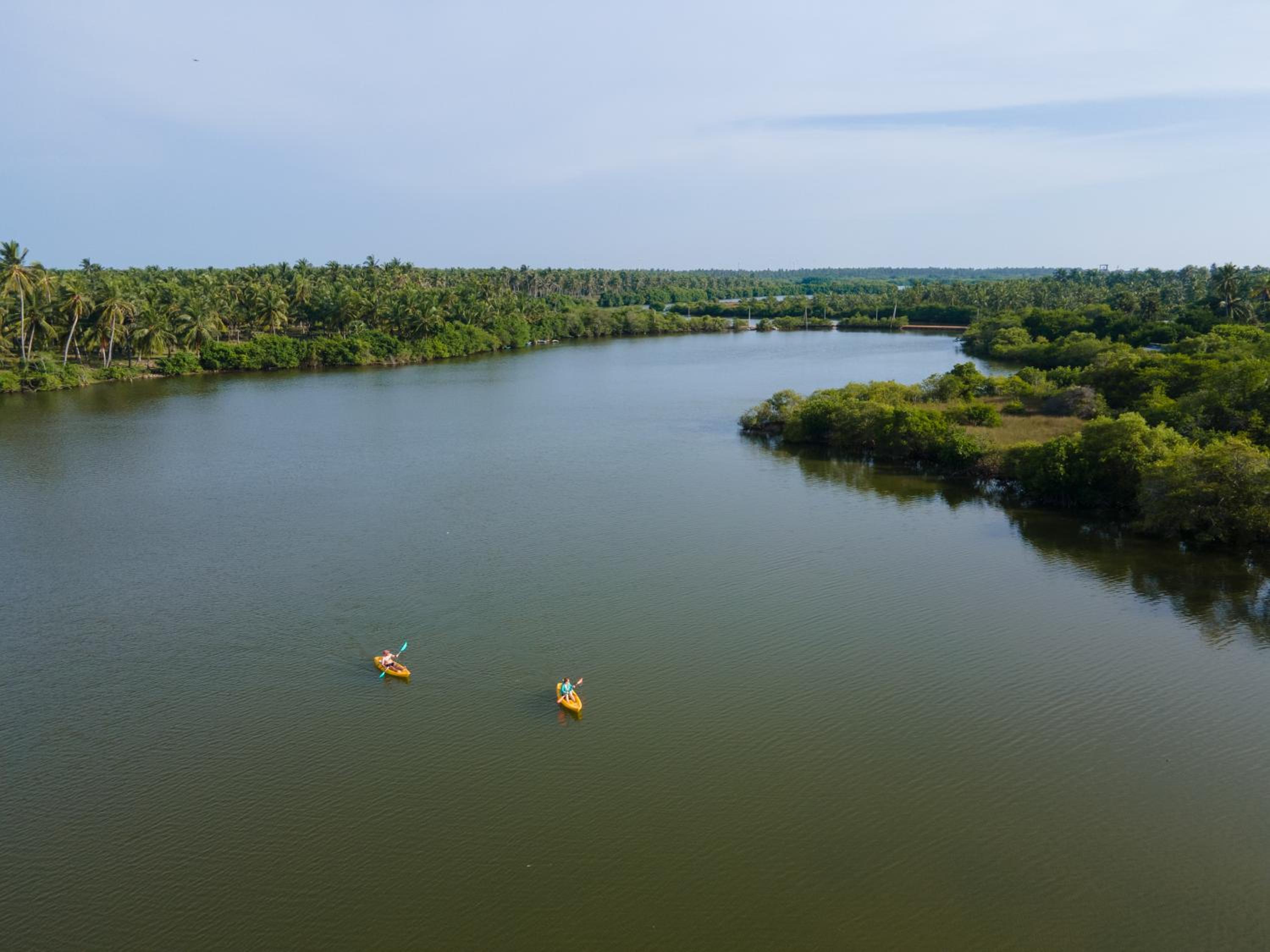 Elements Beach & Nature Resort