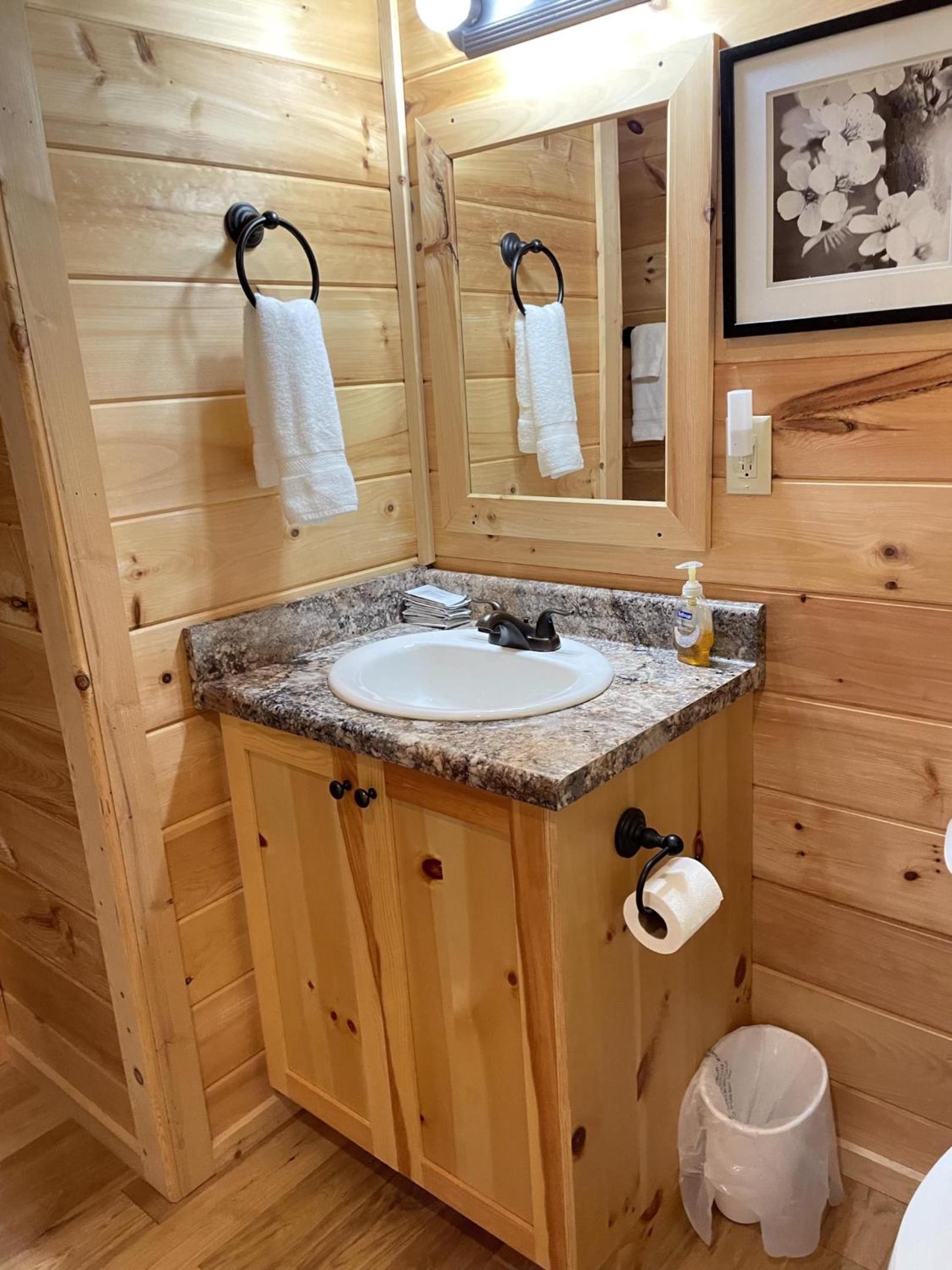 Spartanburg Vacations - Pet Friendly, Peaceful Cabin Near Wineries, - Property Image 5