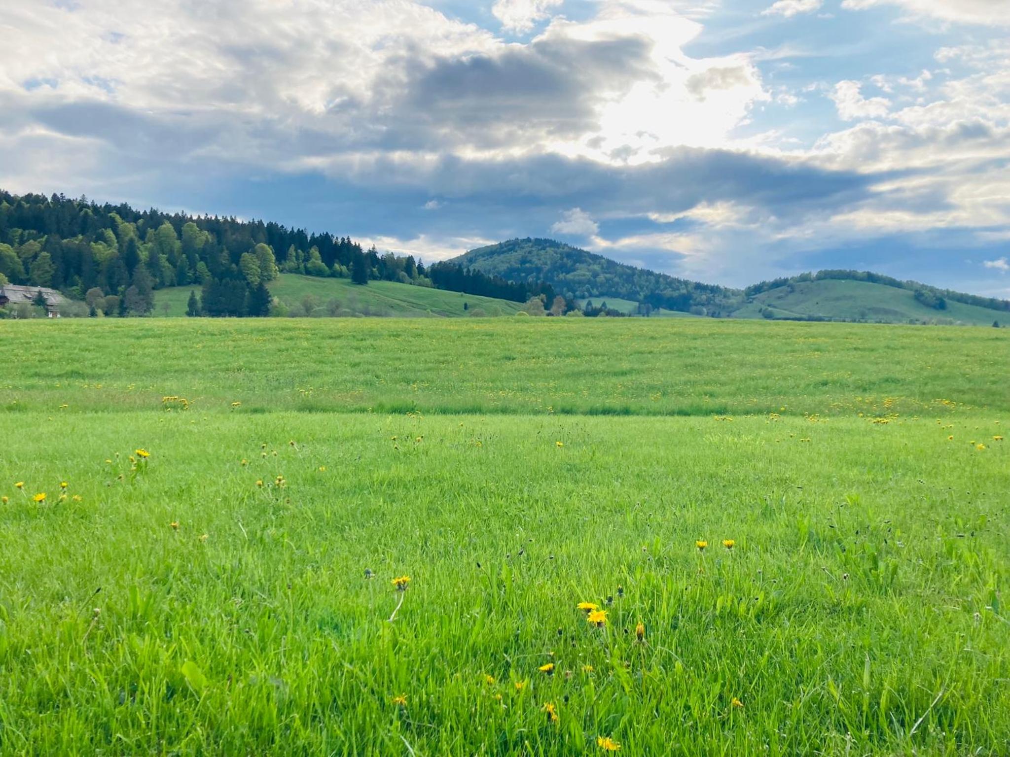 Ferienhaus Geiger in Bernau im Schwarzwald