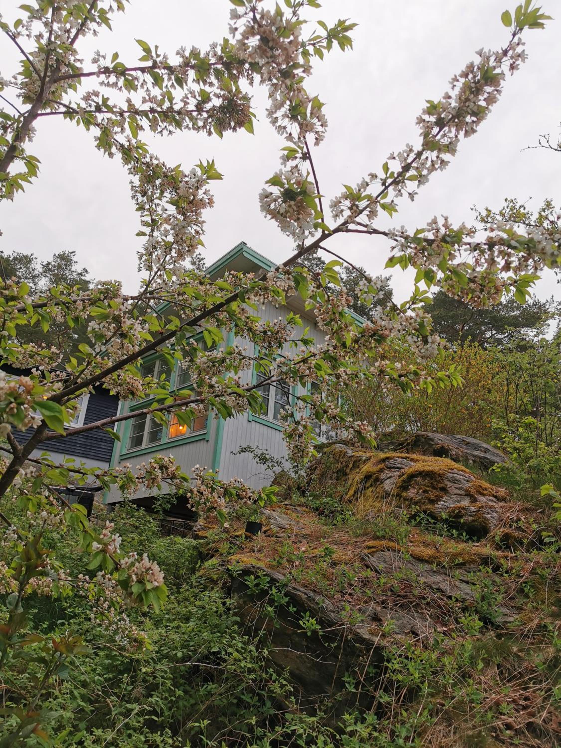 Photo 15