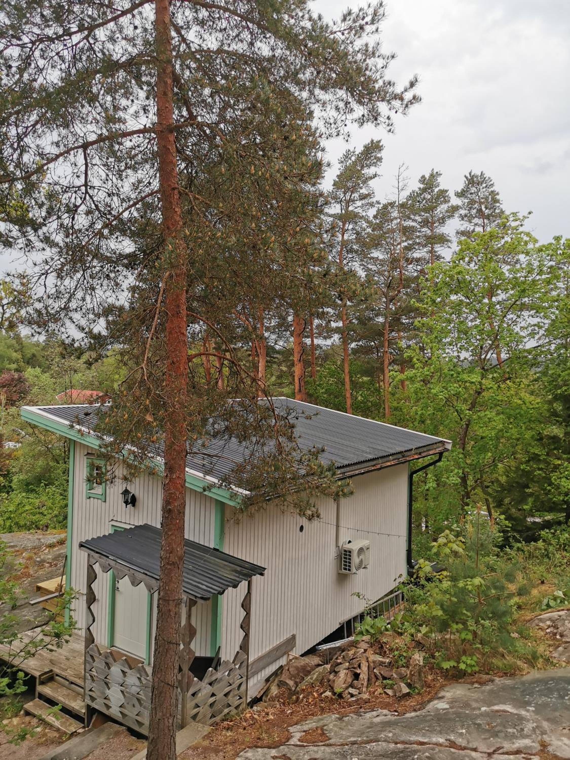 Photo 19