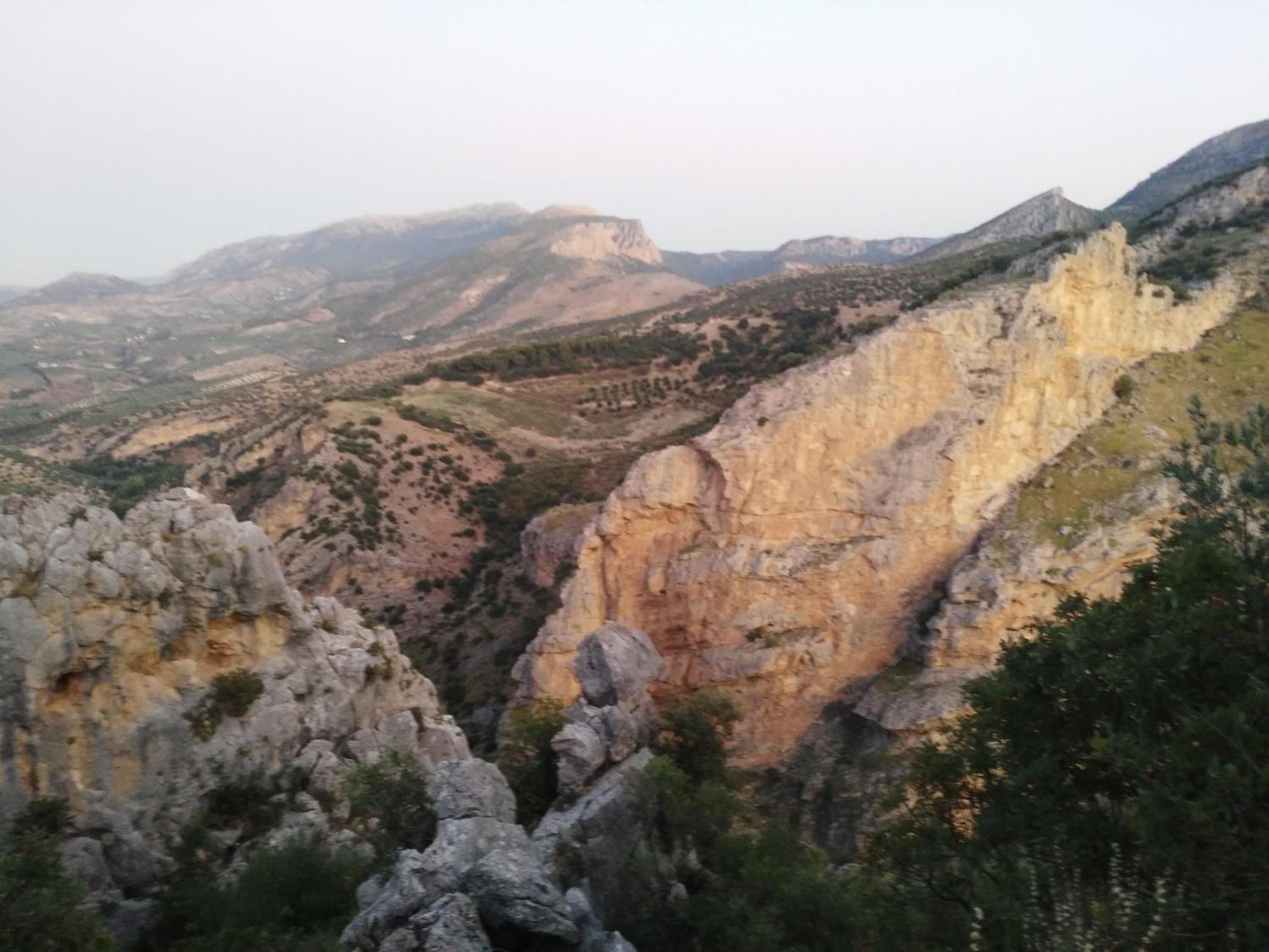 Photo 48