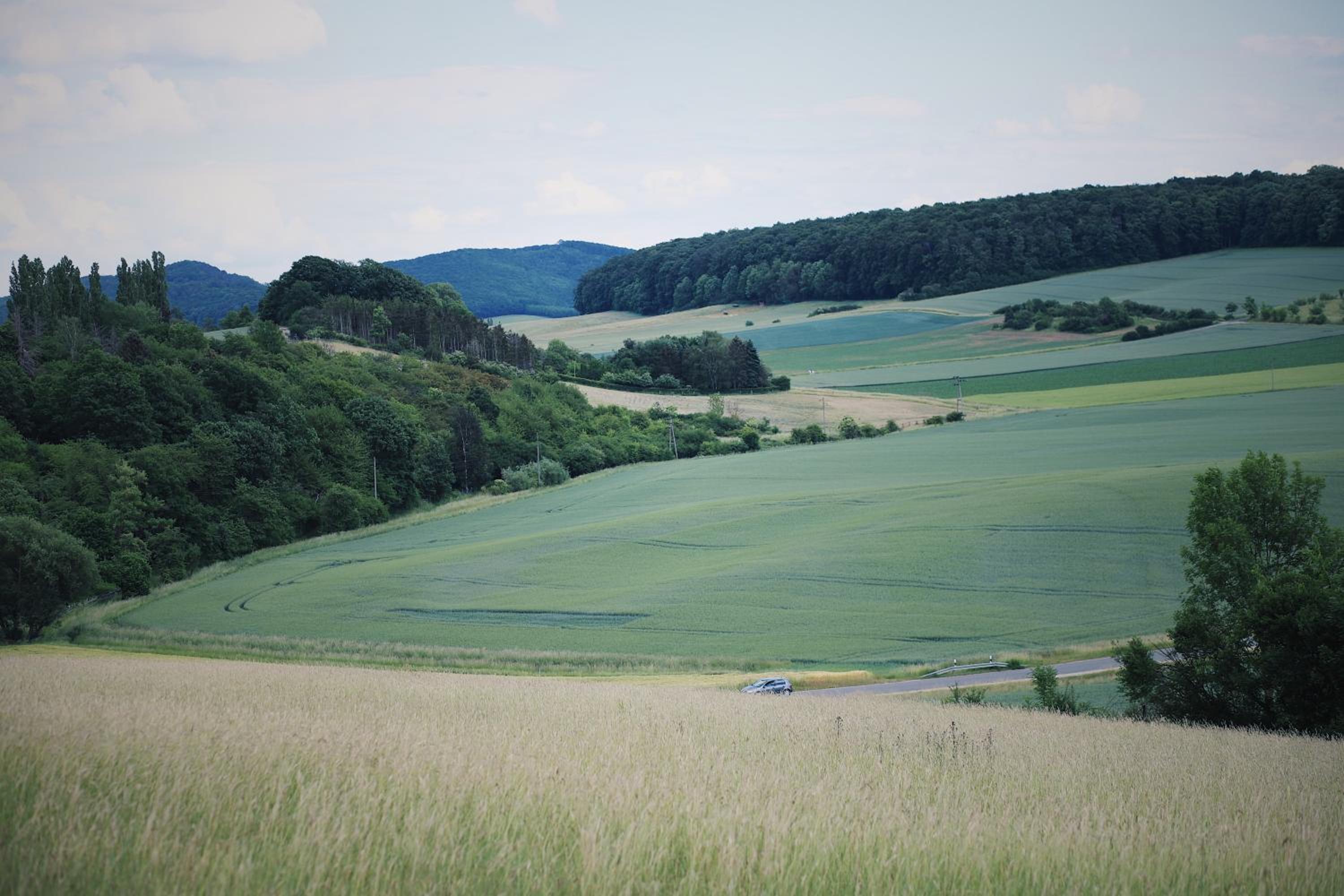 Landhaus 