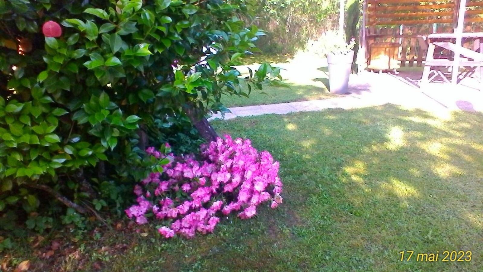 Photo 66
